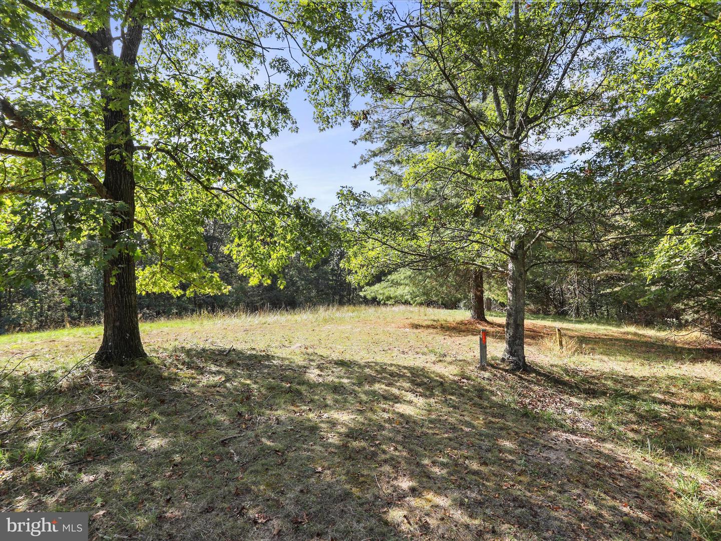003 MOUNTAIN SLOPE LANE, FORT VALLEY, Virginia 22652, ,Land,For sale,003 MOUNTAIN SLOPE LANE,VASH2012660 MLS # VASH2012660
