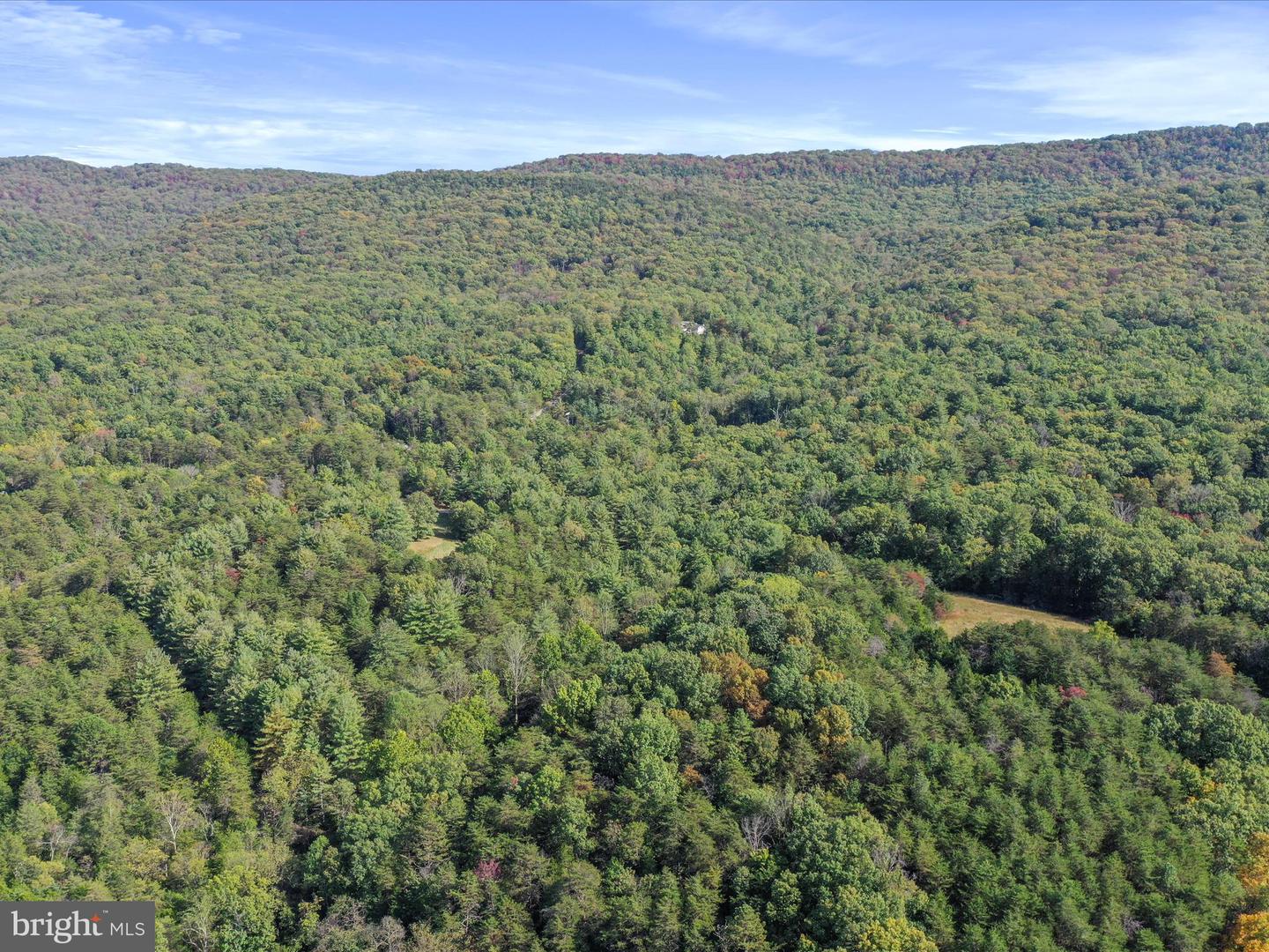 003 MOUNTAIN SLOPE LANE, FORT VALLEY, Virginia 22652, ,Land,For sale,003 MOUNTAIN SLOPE LANE,VASH2012660 MLS # VASH2012660