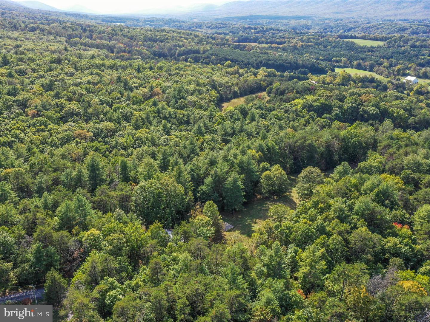 003 MOUNTAIN SLOPE LANE, FORT VALLEY, Virginia 22652, ,Land,For sale,003 MOUNTAIN SLOPE LANE,VASH2012660 MLS # VASH2012660
