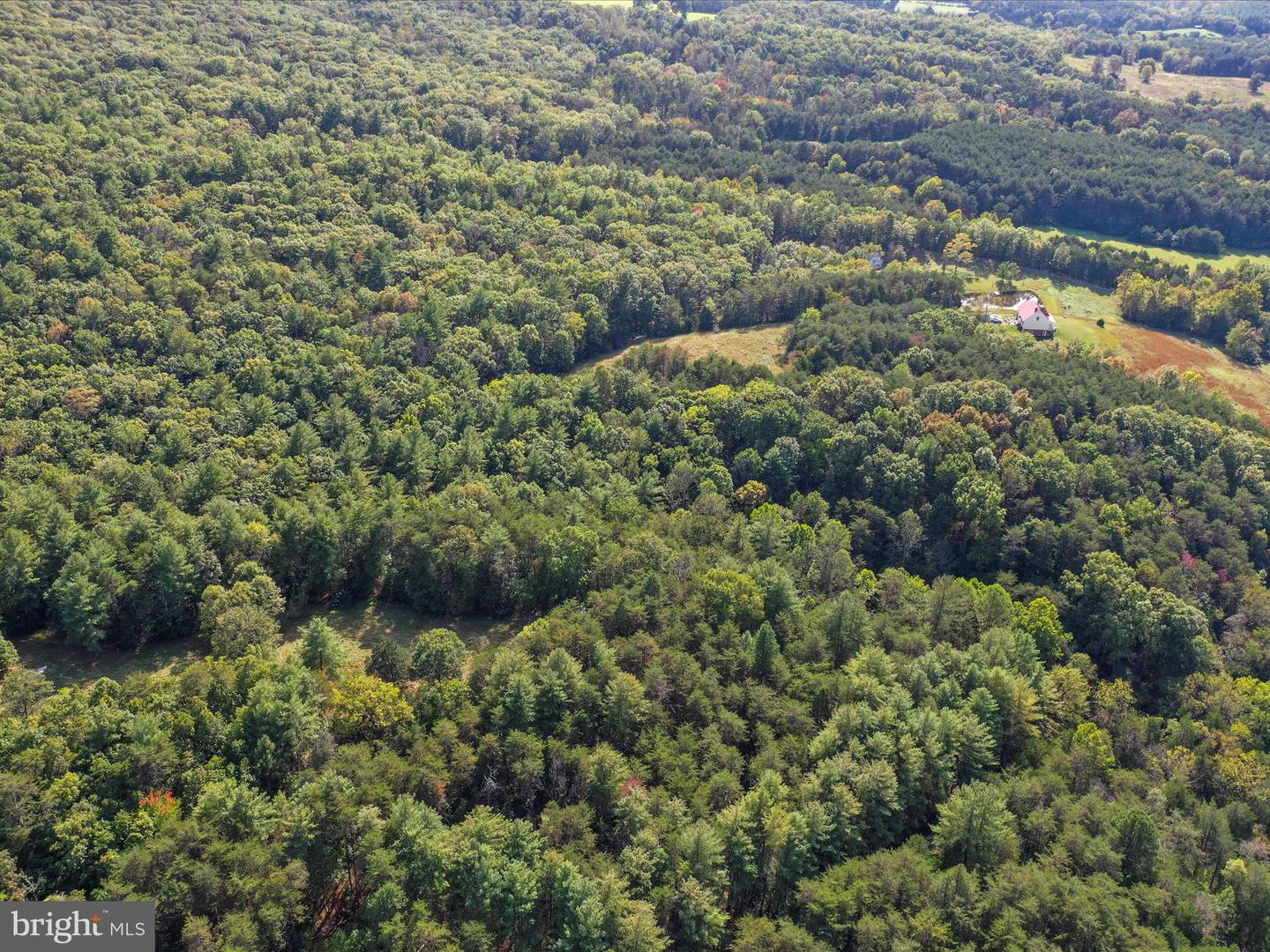003 MOUNTAIN SLOPE LANE, FORT VALLEY, Virginia 22652, ,Land,For sale,003 MOUNTAIN SLOPE LANE,VASH2012660 MLS # VASH2012660