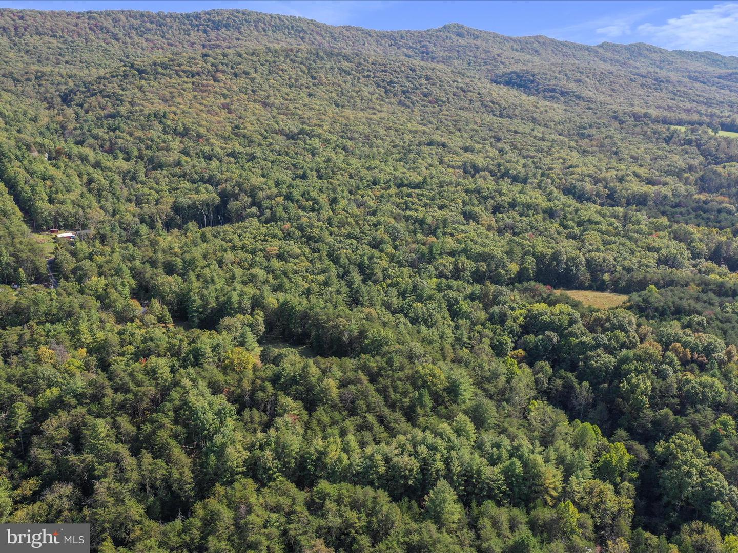 003 MOUNTAIN SLOPE LANE, FORT VALLEY, Virginia 22652, ,Land,For sale,003 MOUNTAIN SLOPE LANE,VASH2012660 MLS # VASH2012660
