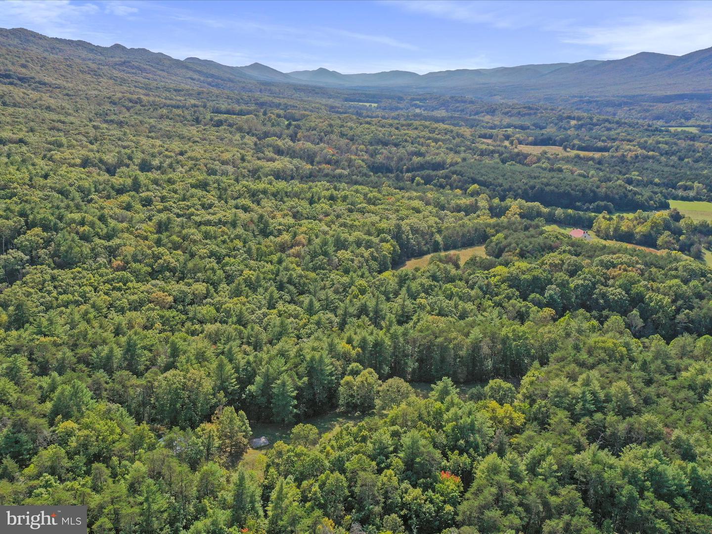 003 MOUNTAIN SLOPE LANE, FORT VALLEY, Virginia 22652, ,Land,For sale,003 MOUNTAIN SLOPE LANE,VASH2012660 MLS # VASH2012660