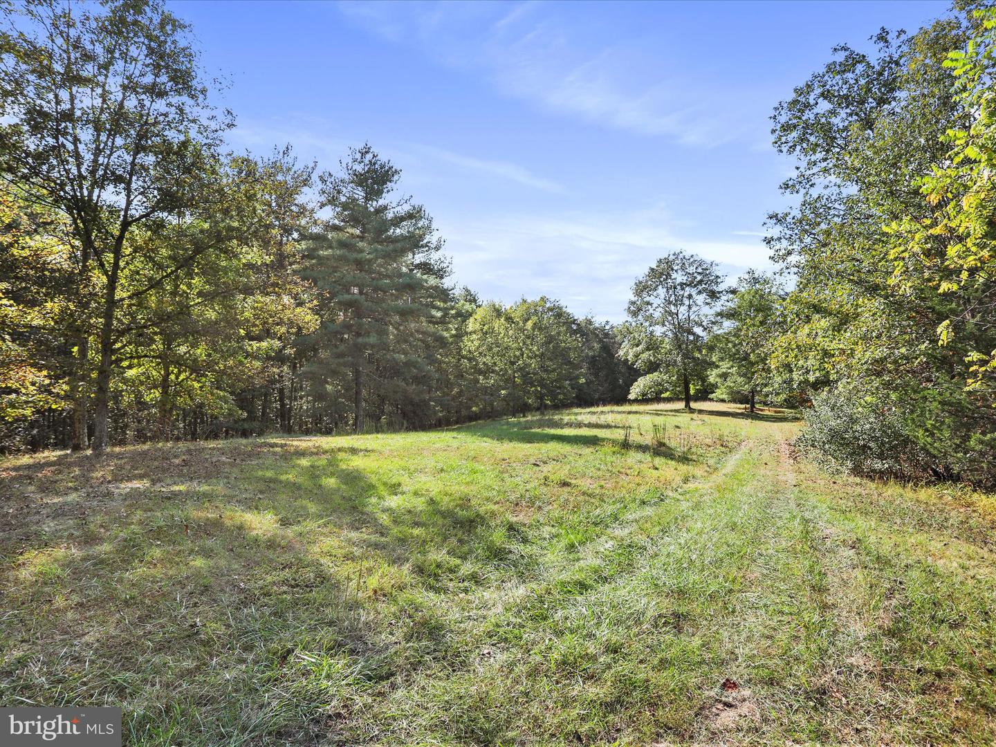 003 MOUNTAIN SLOPE LANE, FORT VALLEY, Virginia 22652, ,Land,For sale,003 MOUNTAIN SLOPE LANE,VASH2012660 MLS # VASH2012660