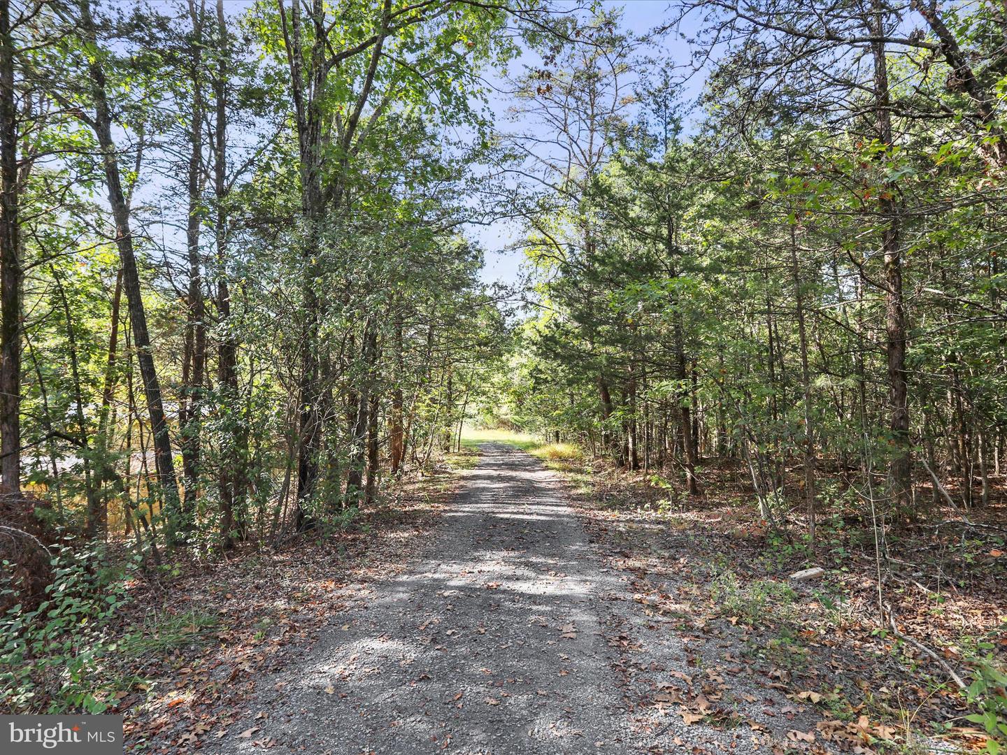003 MOUNTAIN SLOPE LANE, FORT VALLEY, Virginia 22652, ,Land,For sale,003 MOUNTAIN SLOPE LANE,VASH2012660 MLS # VASH2012660
