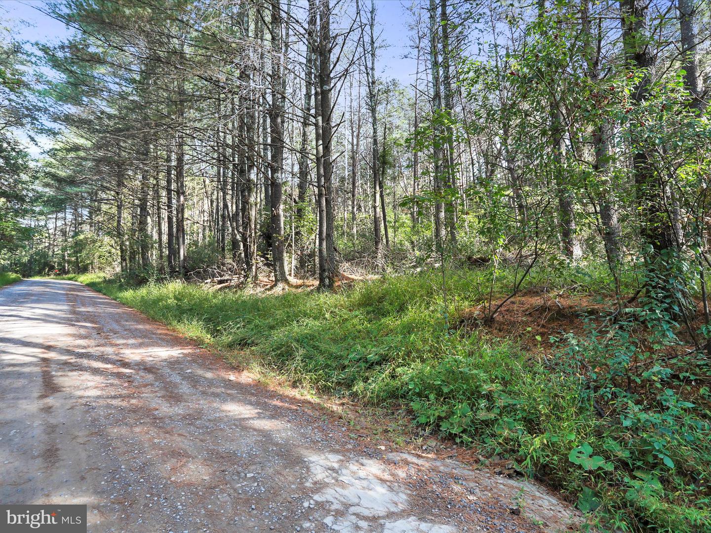 003 MOUNTAIN SLOPE LANE, FORT VALLEY, Virginia 22652, ,Land,For sale,003 MOUNTAIN SLOPE LANE,VASH2012660 MLS # VASH2012660