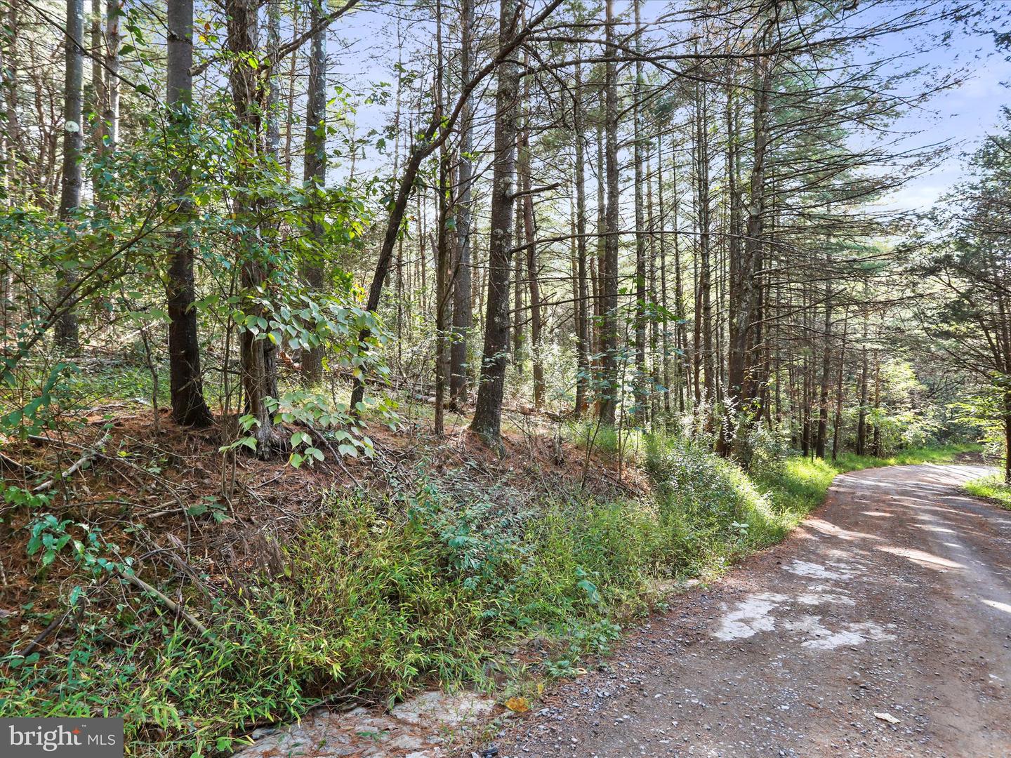 003 MOUNTAIN SLOPE LANE, FORT VALLEY, Virginia 22652, ,Land,For sale,003 MOUNTAIN SLOPE LANE,VASH2012660 MLS # VASH2012660