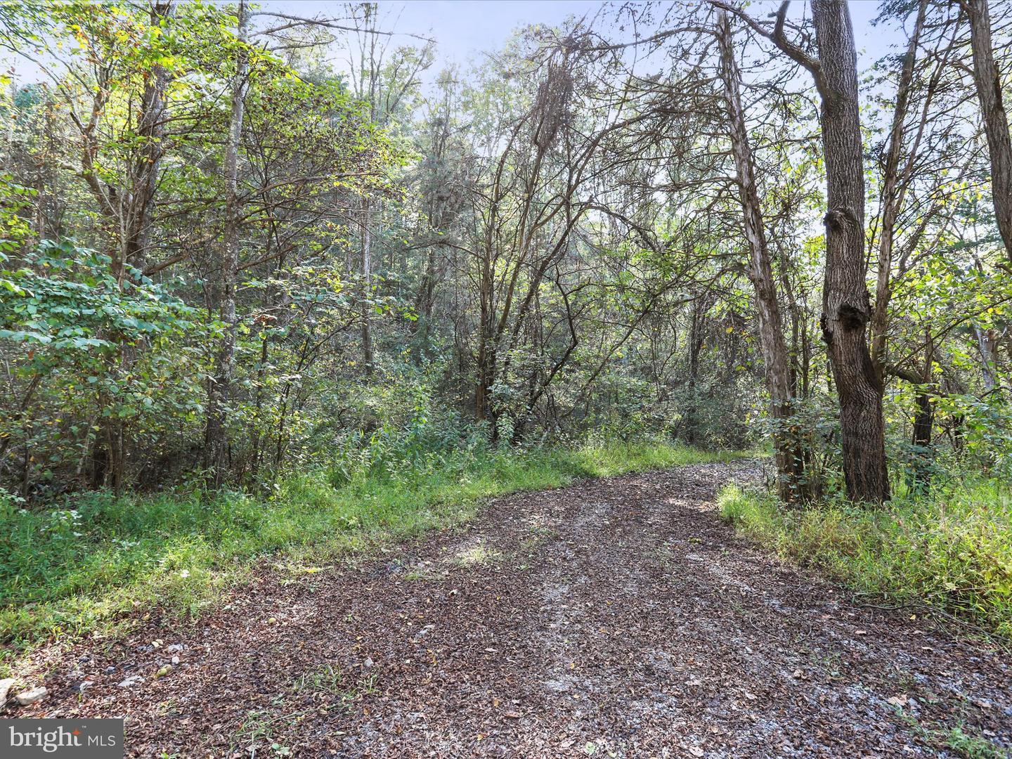 003 MOUNTAIN SLOPE LANE, FORT VALLEY, Virginia 22652, ,Land,For sale,003 MOUNTAIN SLOPE LANE,VASH2012660 MLS # VASH2012660