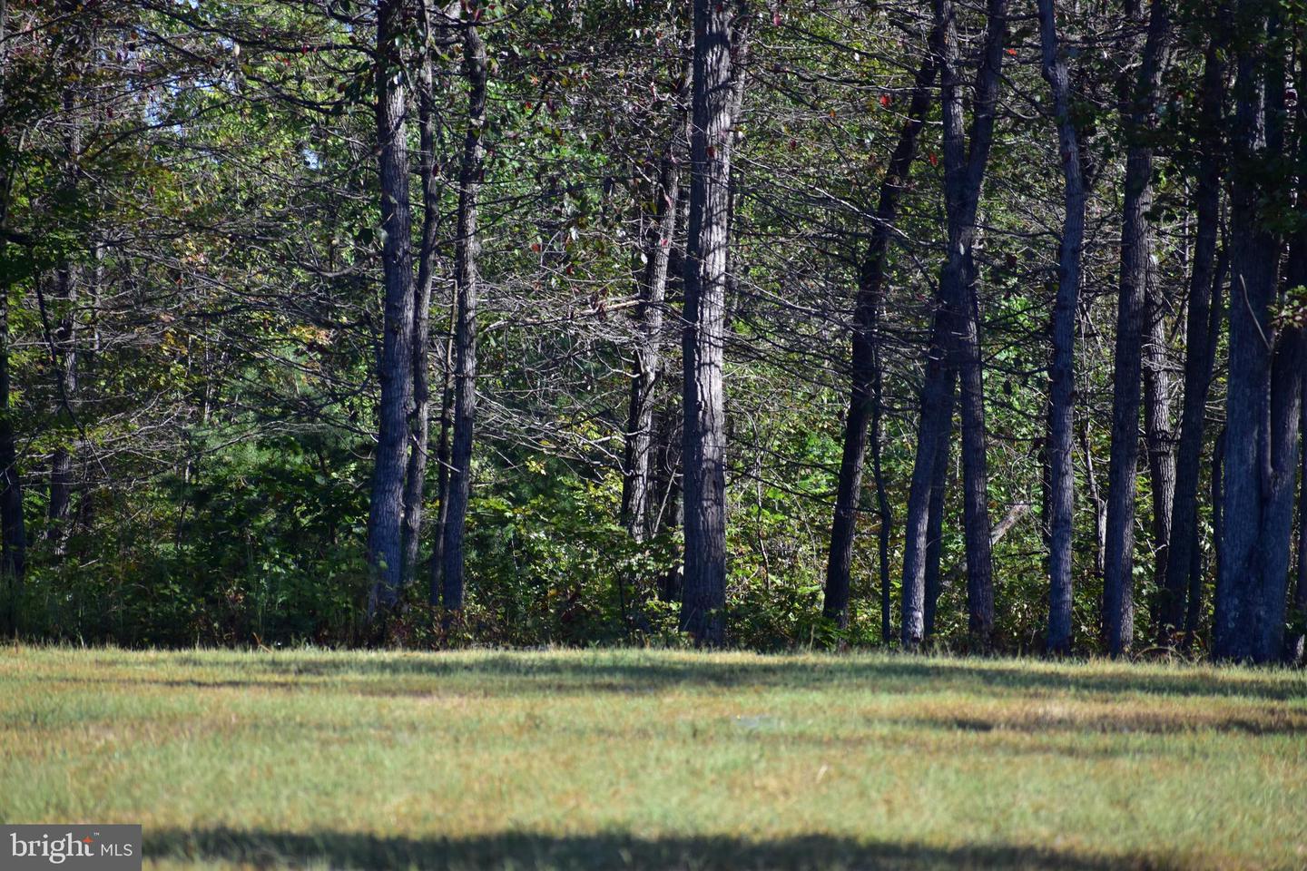 LOT 1 (128.556 ACRES) LAUREL GROVE RD, WINCHESTER, Virginia 22602, ,Farm,For sale,LOT 1 (128.556 ACRES) LAUREL GROVE RD,VAFV2037162 MLS # VAFV2037162