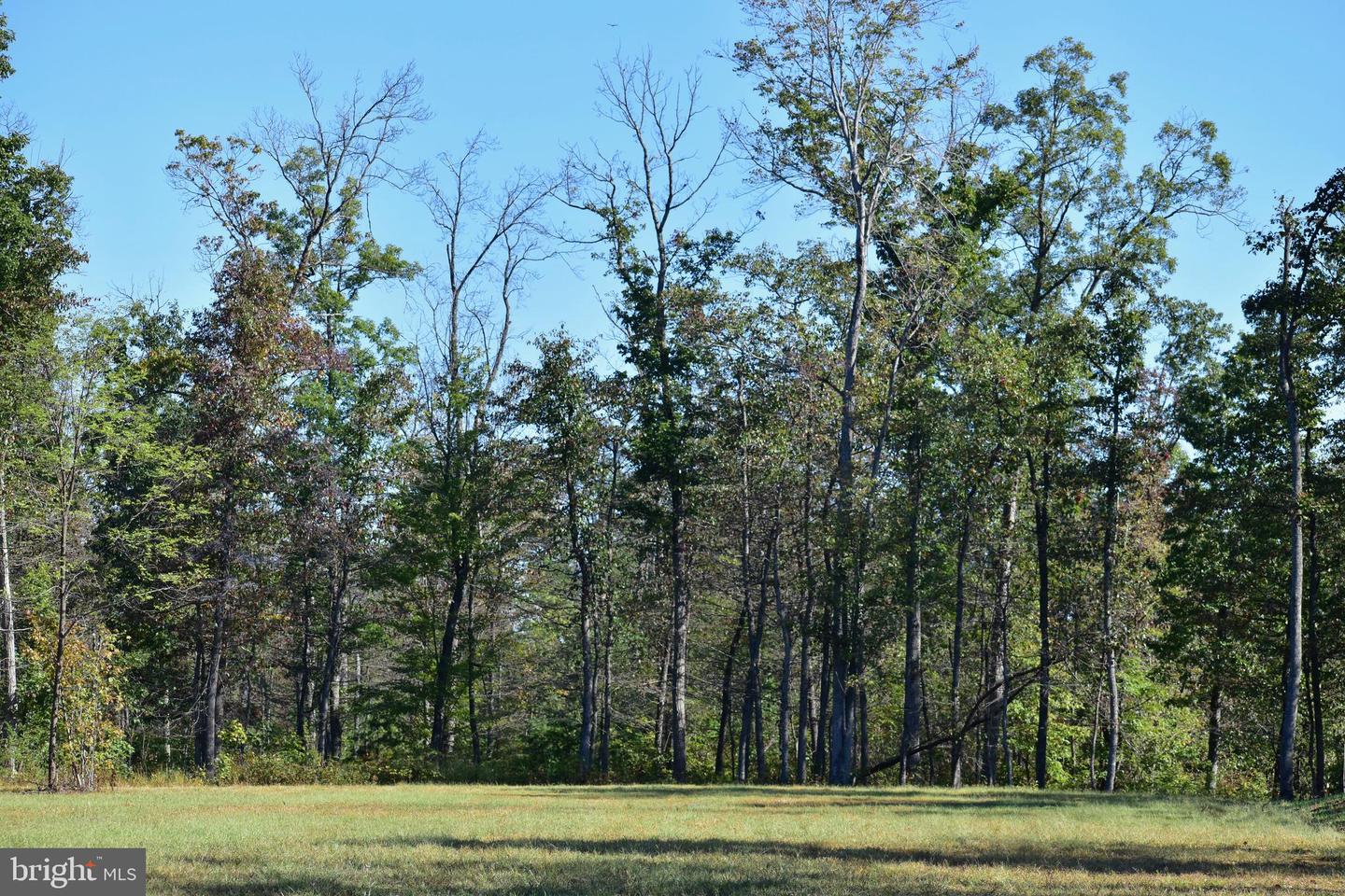 LOT 1 (128.556 ACRES) LAUREL GROVE RD, WINCHESTER, Virginia 22602, ,Farm,For sale,LOT 1 (128.556 ACRES) LAUREL GROVE RD,VAFV2037162 MLS # VAFV2037162