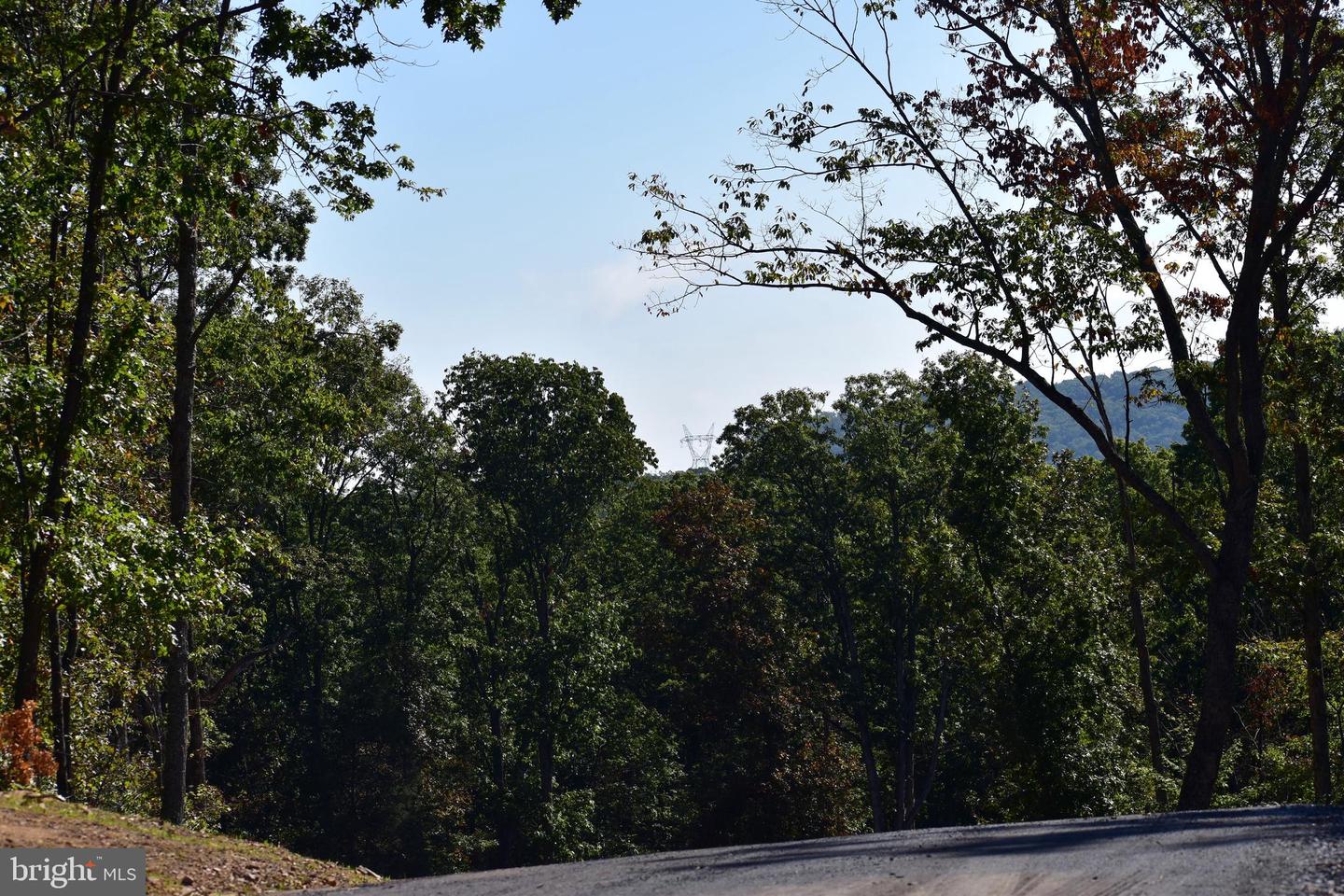 LOT 1 (128.556 ACRES) LAUREL GROVE RD, WINCHESTER, Virginia 22602, ,Farm,For sale,LOT 1 (128.556 ACRES) LAUREL GROVE RD,VAFV2037162 MLS # VAFV2037162
