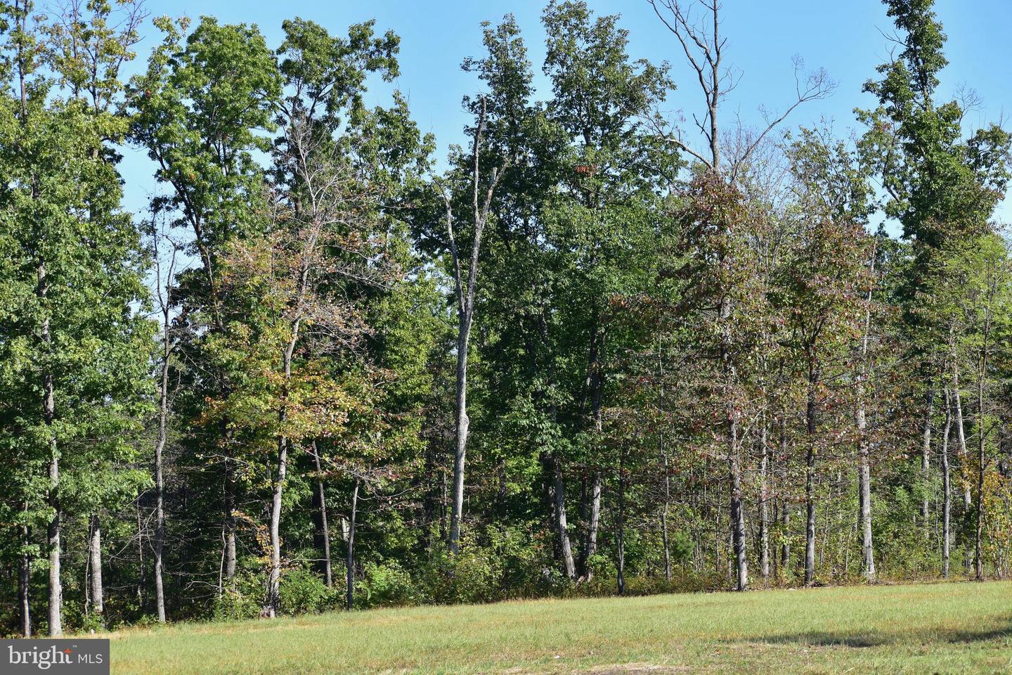 LOT 1 (128.556 ACRES) LAUREL GROVE RD, WINCHESTER, Virginia 22602, ,Farm,For sale,LOT 1 (128.556 ACRES) LAUREL GROVE RD,VAFV2037162 MLS # VAFV2037162