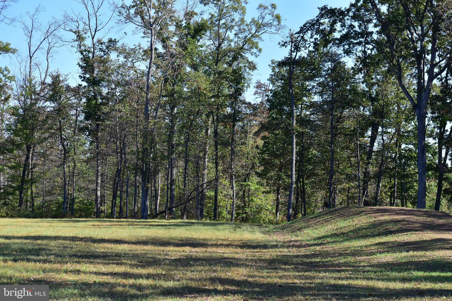 LOT 1 (128.556 ACRES) LAUREL GROVE RD, WINCHESTER, Virginia 22602, ,Farm,For sale,LOT 1 (128.556 ACRES) LAUREL GROVE RD,VAFV2037162 MLS # VAFV2037162