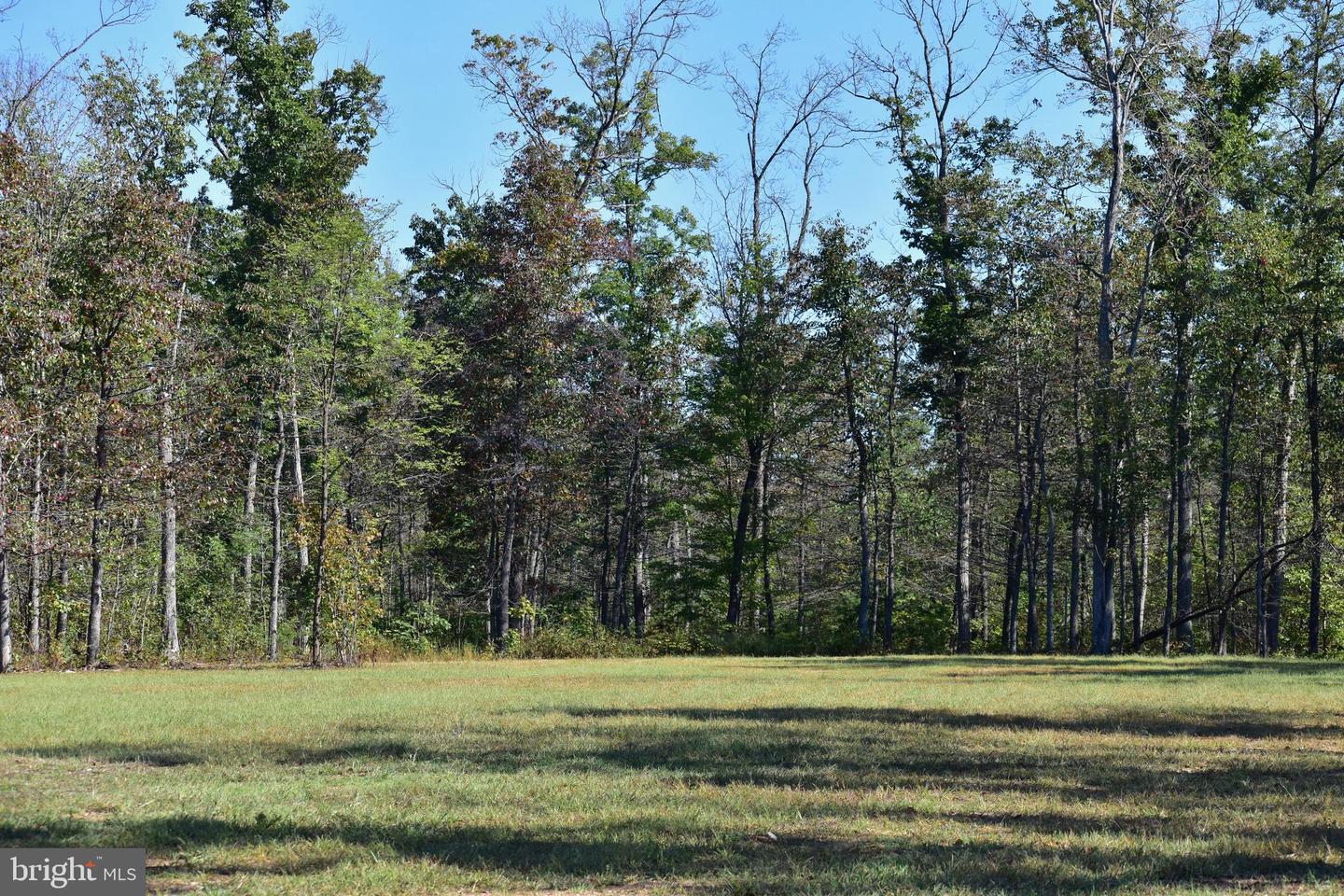 LOT 1 (128.556 ACRES) LAUREL GROVE RD, WINCHESTER, Virginia 22602, ,Farm,For sale,LOT 1 (128.556 ACRES) LAUREL GROVE RD,VAFV2037162 MLS # VAFV2037162