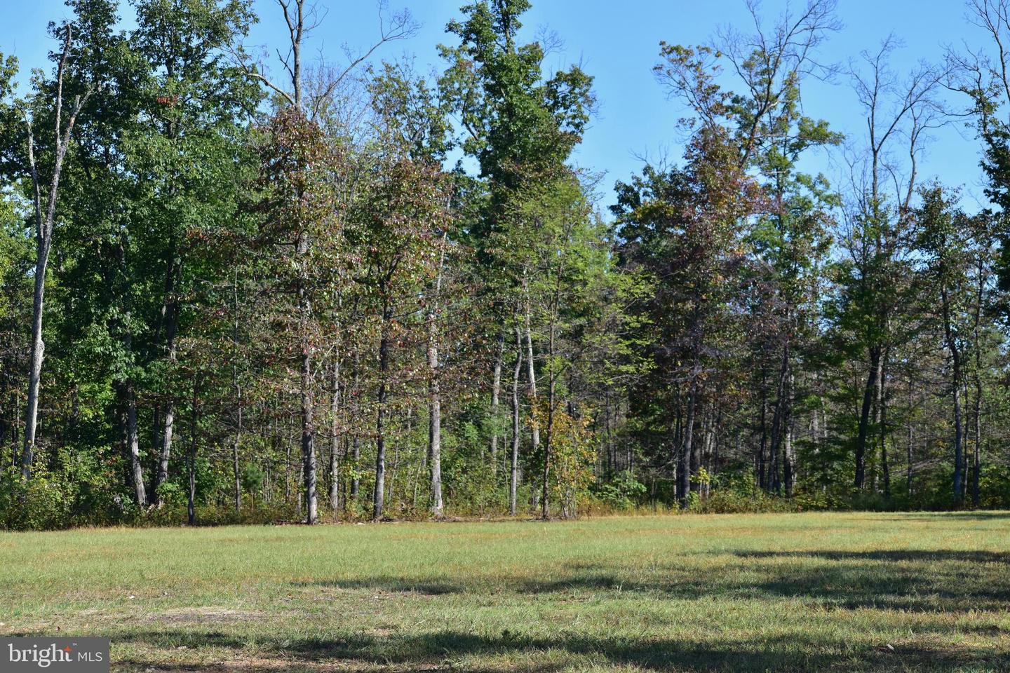 LOT 1 (128.556 ACRES) LAUREL GROVE RD, WINCHESTER, Virginia 22602, ,Farm,For sale,LOT 1 (128.556 ACRES) LAUREL GROVE RD,VAFV2037162 MLS # VAFV2037162