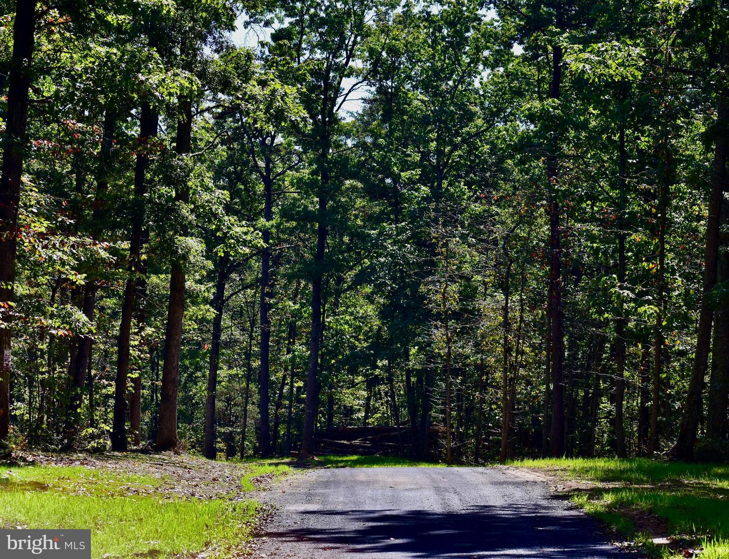 LOT 1 (128.556 ACRES) LAUREL GROVE RD, WINCHESTER, Virginia 22602, ,Farm,For sale,LOT 1 (128.556 ACRES) LAUREL GROVE RD,VAFV2037162 MLS # VAFV2037162