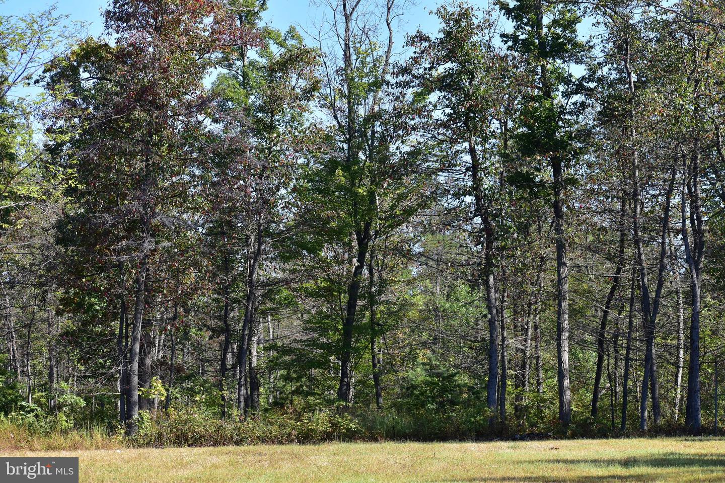 LOT 1 (128.556 ACRES) LAUREL GROVE RD, WINCHESTER, Virginia 22602, ,Farm,For sale,LOT 1 (128.556 ACRES) LAUREL GROVE RD,VAFV2037162 MLS # VAFV2037162