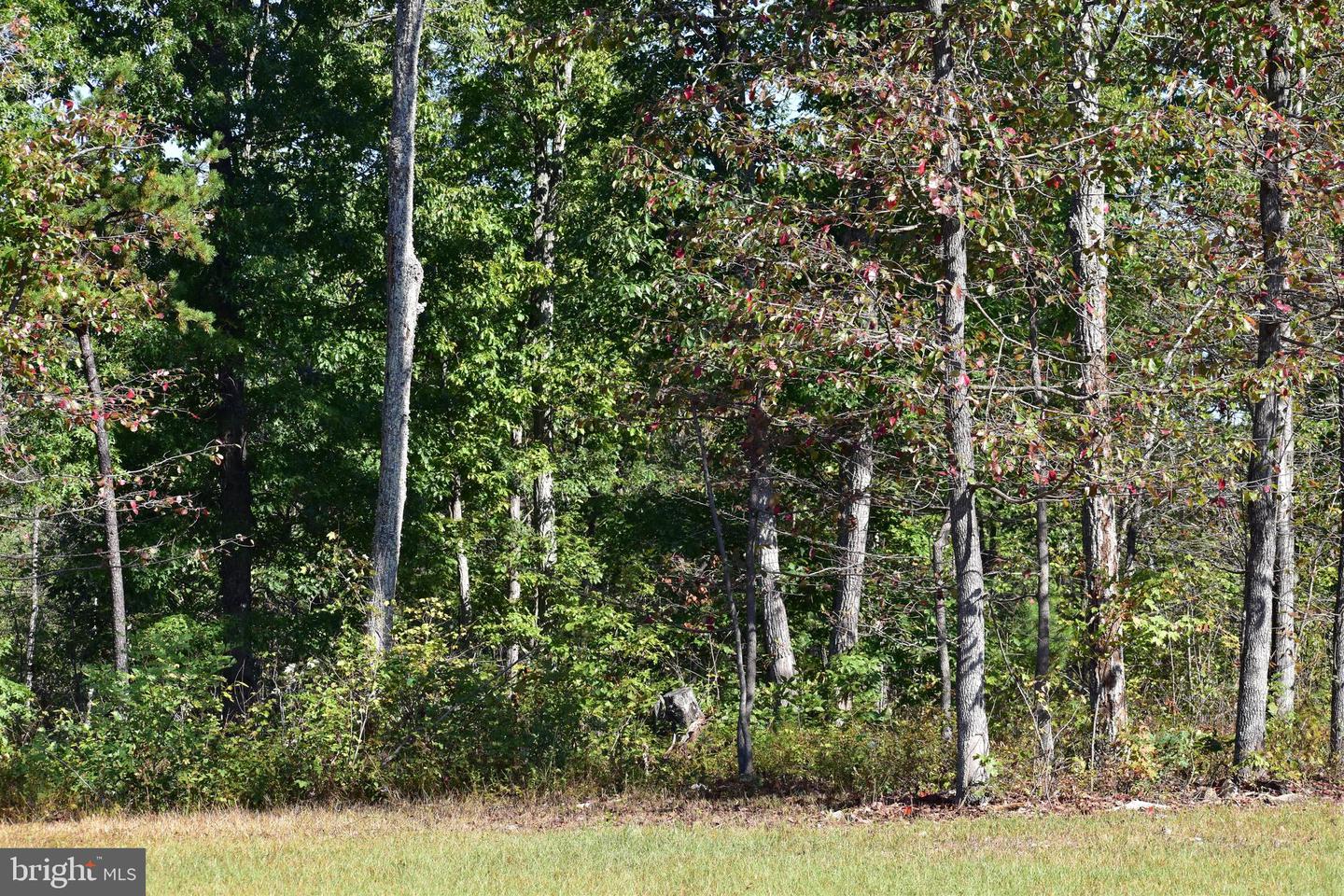 LOT 1 (128.556 ACRES) LAUREL GROVE RD, WINCHESTER, Virginia 22602, ,Farm,For sale,LOT 1 (128.556 ACRES) LAUREL GROVE RD,VAFV2037162 MLS # VAFV2037162