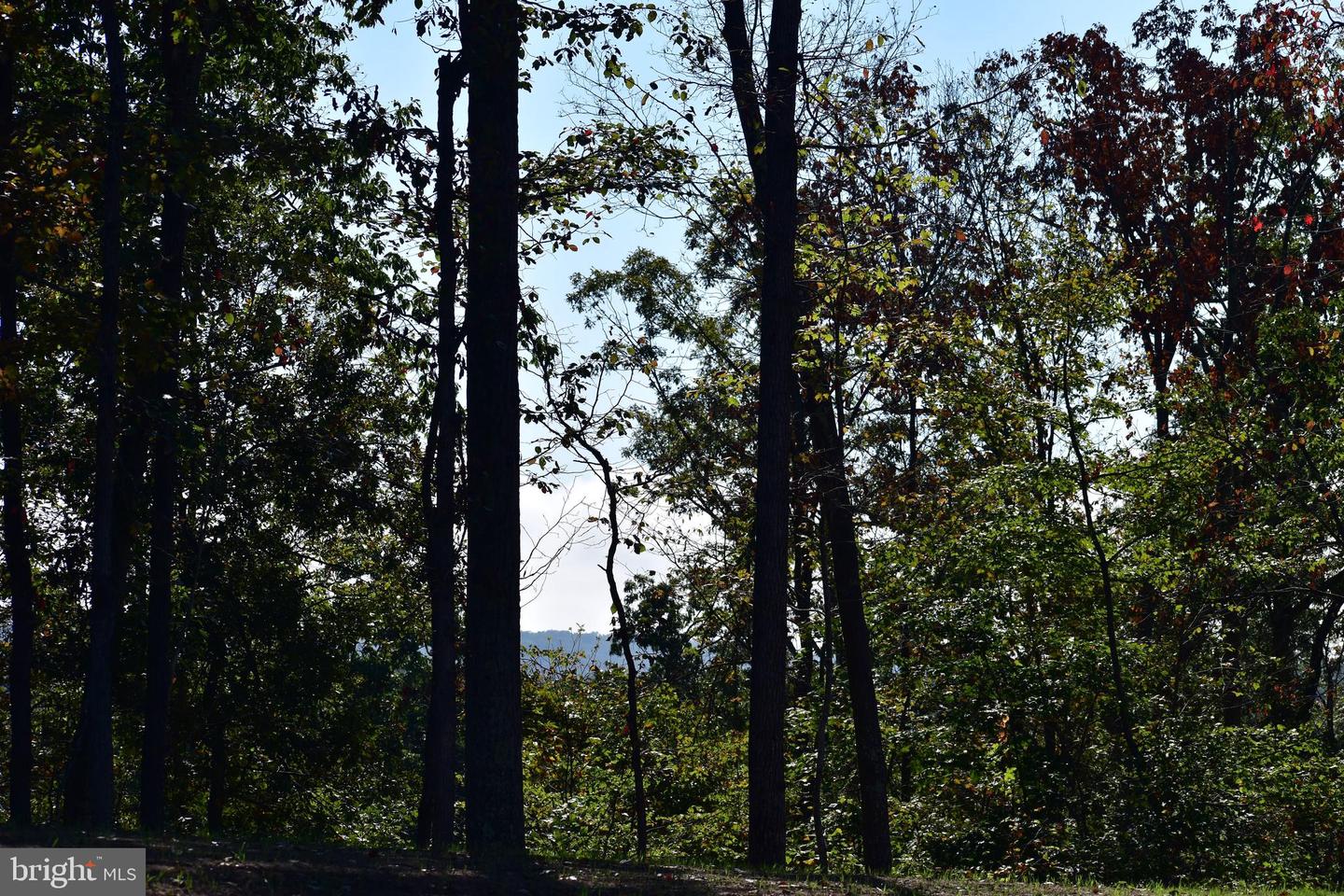 LOT 1 (128.556 ACRES) LAUREL GROVE RD, WINCHESTER, Virginia 22602, ,Farm,For sale,LOT 1 (128.556 ACRES) LAUREL GROVE RD,VAFV2037162 MLS # VAFV2037162