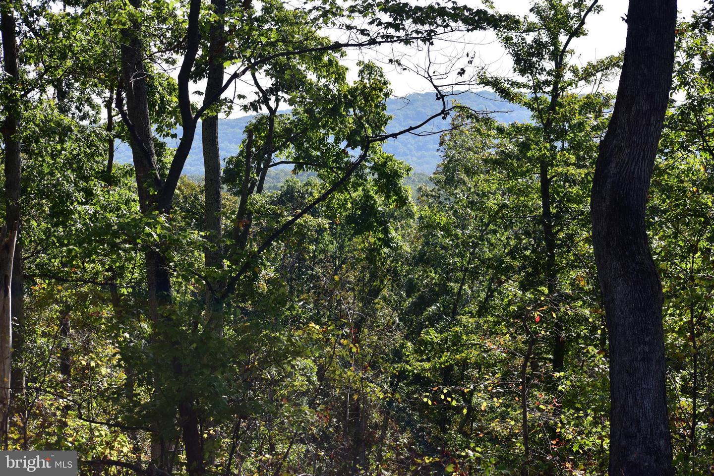 LOT 1 (128.556 ACRES) LAUREL GROVE RD, WINCHESTER, Virginia 22602, ,Farm,For sale,LOT 1 (128.556 ACRES) LAUREL GROVE RD,VAFV2037162 MLS # VAFV2037162