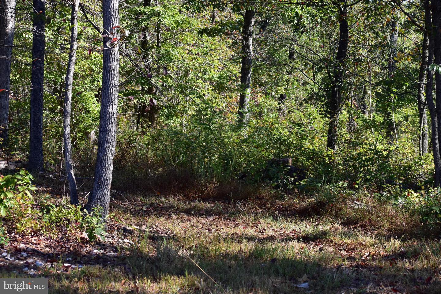 LOT 1 (128.556 ACRES) LAUREL GROVE RD, WINCHESTER, Virginia 22602, ,Farm,For sale,LOT 1 (128.556 ACRES) LAUREL GROVE RD,VAFV2037162 MLS # VAFV2037162