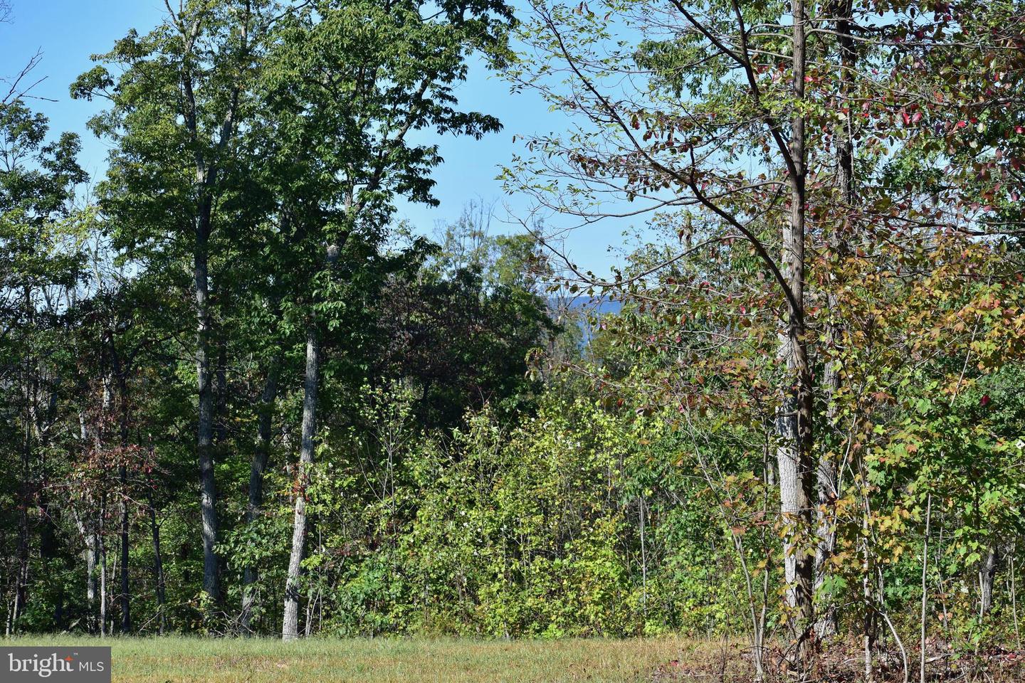 LOT 1 (128.556 ACRES) LAUREL GROVE RD, WINCHESTER, Virginia 22602, ,Farm,For sale,LOT 1 (128.556 ACRES) LAUREL GROVE RD,VAFV2037162 MLS # VAFV2037162