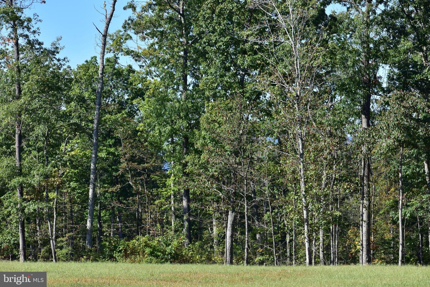 LOT 1 (128.556 ACRES) LAUREL GROVE RD, WINCHESTER, Virginia 22602, ,Farm,For sale,LOT 1 (128.556 ACRES) LAUREL GROVE RD,VAFV2037162 MLS # VAFV2037162