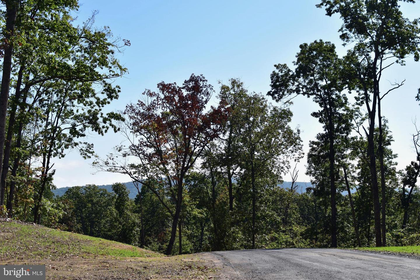 LOT 1 (128.556 ACRES) LAUREL GROVE RD, WINCHESTER, Virginia 22602, ,Farm,For sale,LOT 1 (128.556 ACRES) LAUREL GROVE RD,VAFV2037162 MLS # VAFV2037162