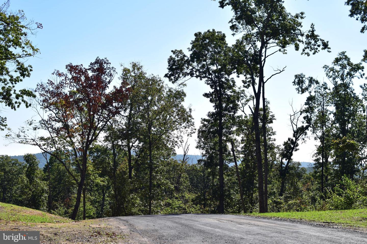 LOT 1 (128.556 ACRES) LAUREL GROVE RD, WINCHESTER, Virginia 22602, ,Farm,For sale,LOT 1 (128.556 ACRES) LAUREL GROVE RD,VAFV2037162 MLS # VAFV2037162