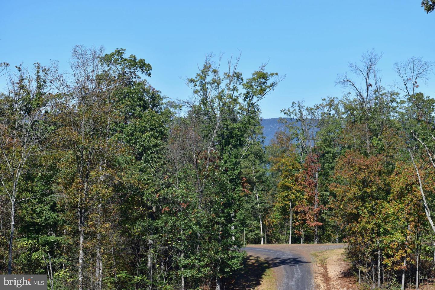 LOT 1 (128.556 ACRES) LAUREL GROVE RD, WINCHESTER, Virginia 22602, ,Farm,For sale,LOT 1 (128.556 ACRES) LAUREL GROVE RD,VAFV2037162 MLS # VAFV2037162