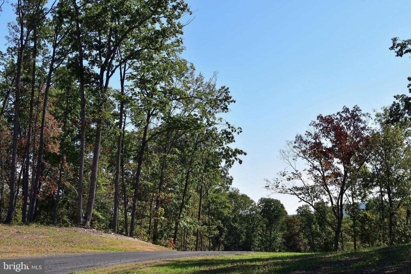 LOT 1 (128.556 ACRES) LAUREL GROVE RD, WINCHESTER, Virginia 22602, ,Farm,For sale,LOT 1 (128.556 ACRES) LAUREL GROVE RD,VAFV2037162 MLS # VAFV2037162