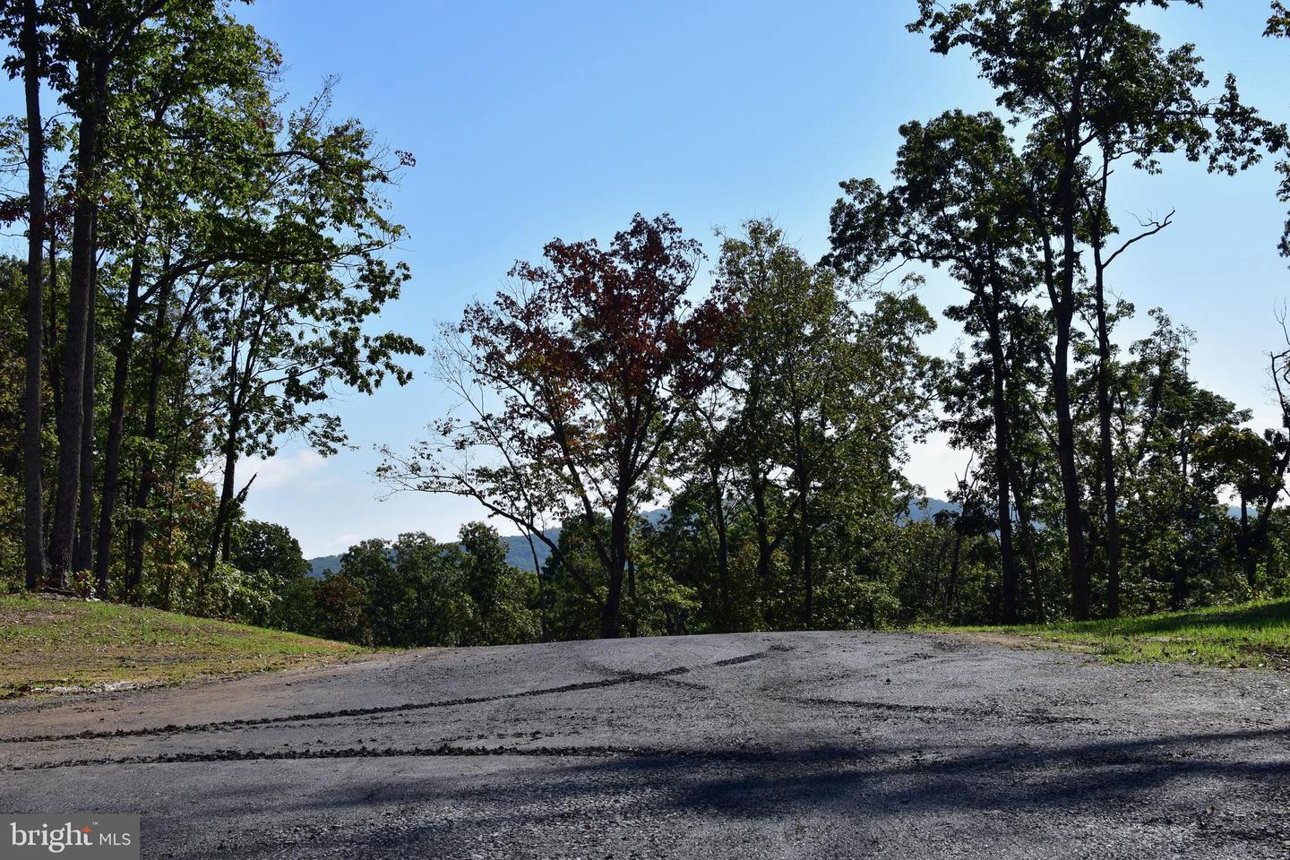 LOT 1 (128.556 ACRES) LAUREL GROVE RD, WINCHESTER, Virginia 22602, ,Farm,For sale,LOT 1 (128.556 ACRES) LAUREL GROVE RD,VAFV2037162 MLS # VAFV2037162