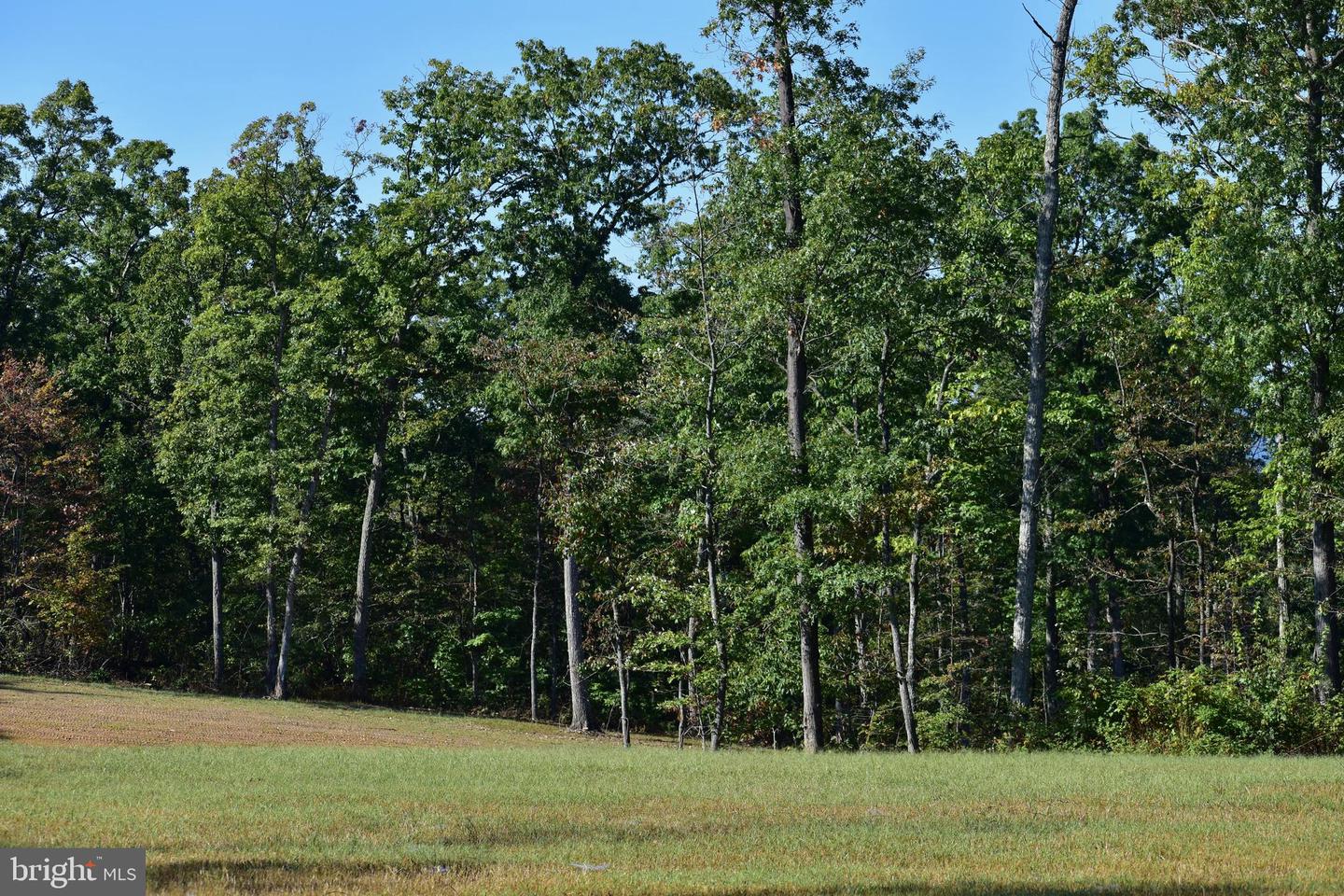 LOT 1 (128.556 ACRES) LAUREL GROVE RD, WINCHESTER, Virginia 22602, ,Farm,For sale,LOT 1 (128.556 ACRES) LAUREL GROVE RD,VAFV2037162 MLS # VAFV2037162