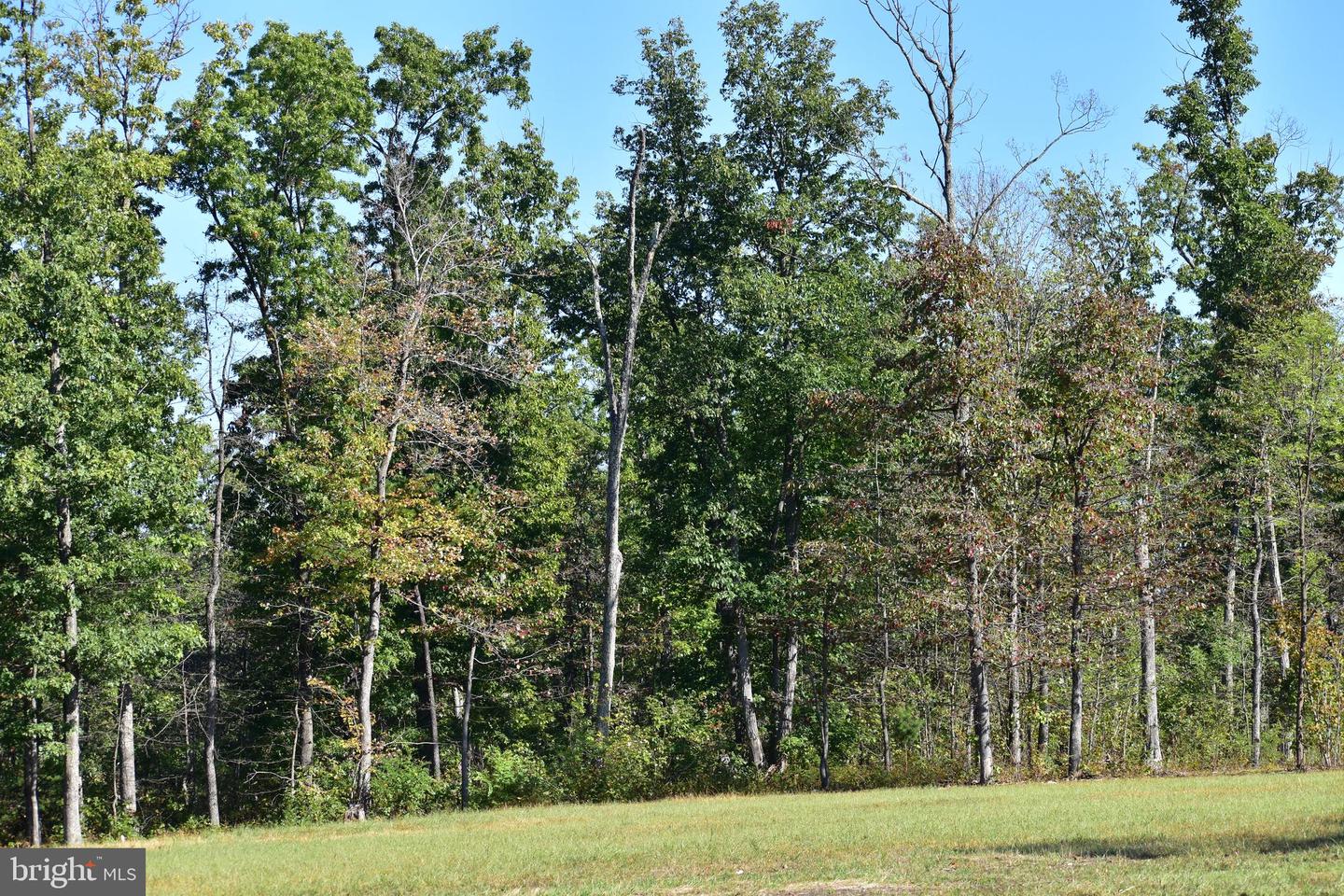 LOT 1 (128.556 ACRES) LAUREL GROVE RD, WINCHESTER, Virginia 22602, ,Farm,For sale,LOT 1 (128.556 ACRES) LAUREL GROVE RD,VAFV2037162 MLS # VAFV2037162