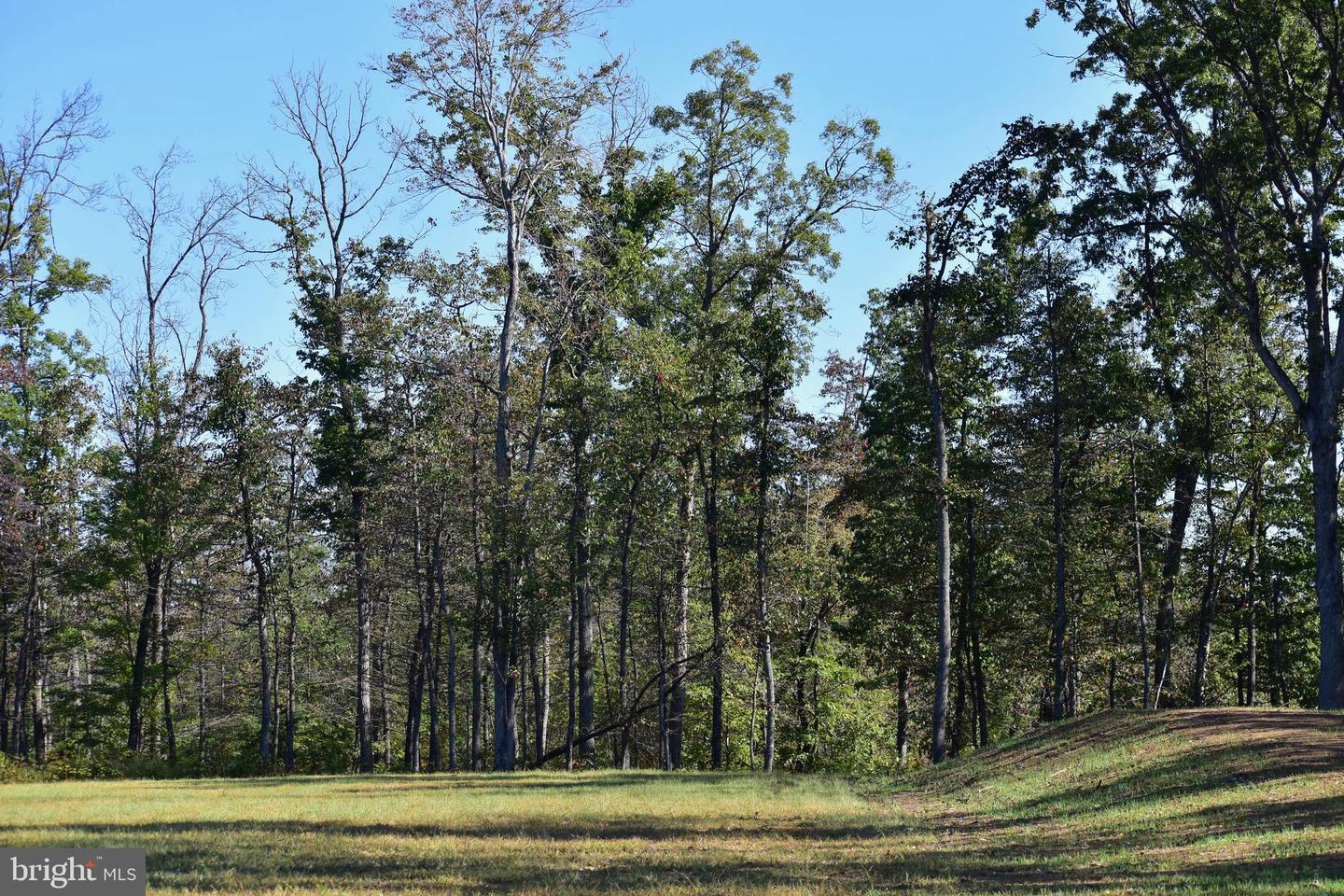 LOT 1 (128.556 ACRES) LAUREL GROVE RD, WINCHESTER, Virginia 22602, ,Farm,For sale,LOT 1 (128.556 ACRES) LAUREL GROVE RD,VAFV2037162 MLS # VAFV2037162