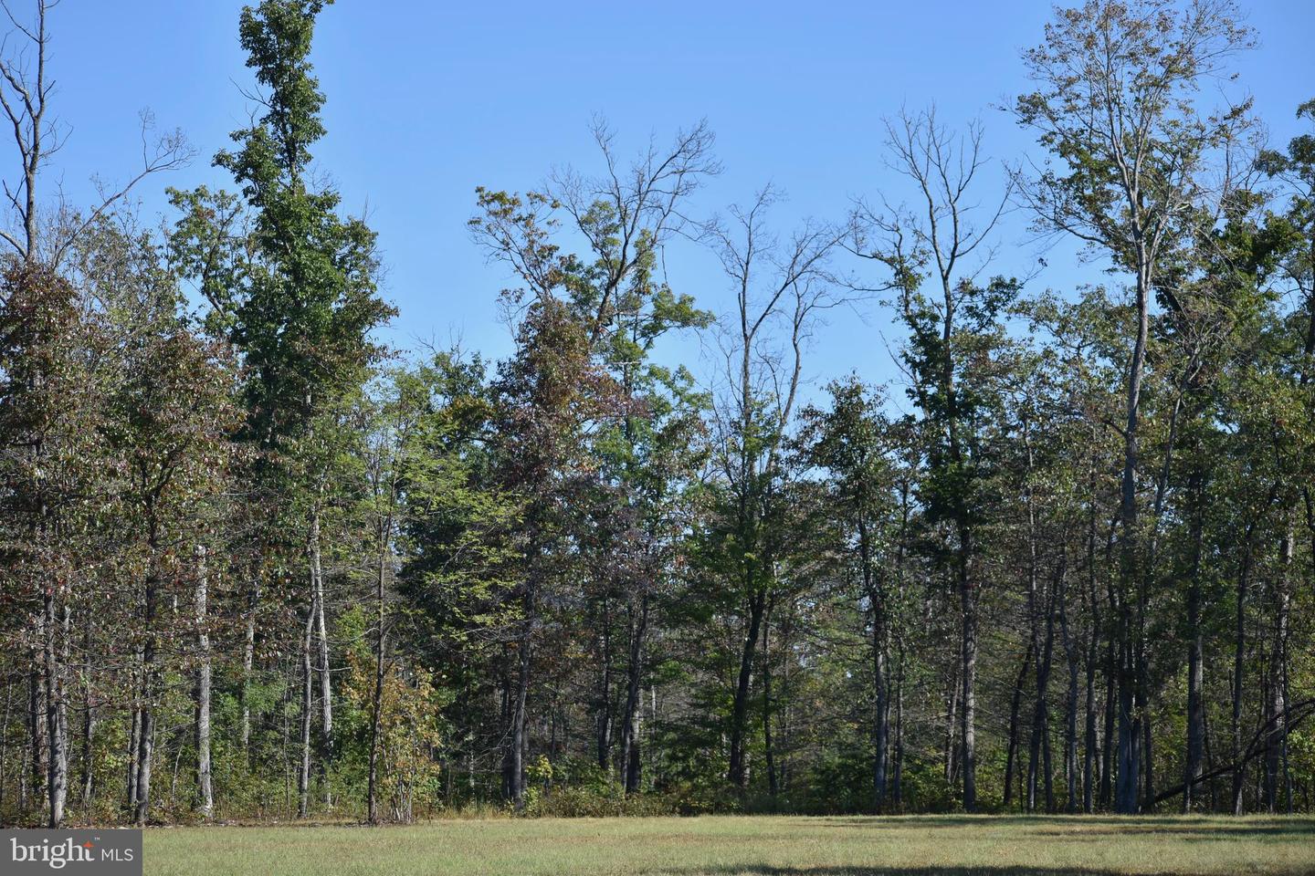 LOT 1 (128.556 ACRES) LAUREL GROVE RD, WINCHESTER, Virginia 22602, ,Farm,For sale,LOT 1 (128.556 ACRES) LAUREL GROVE RD,VAFV2037162 MLS # VAFV2037162