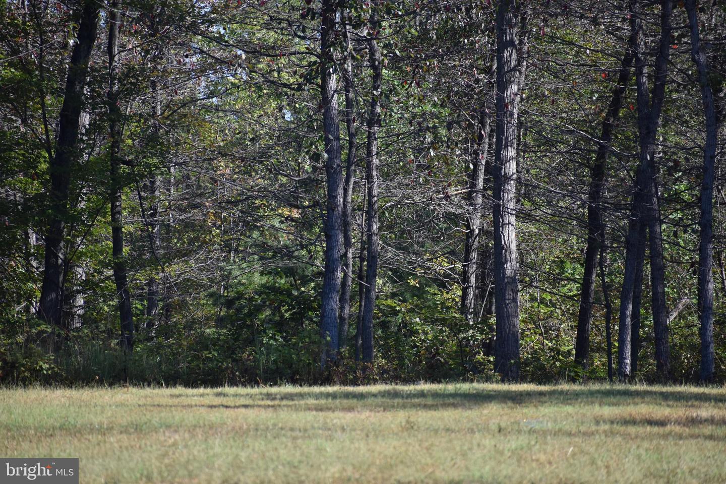 LOT 1 (128.556 ACRES) LAUREL GROVE RD, WINCHESTER, Virginia 22602, ,Farm,For sale,LOT 1 (128.556 ACRES) LAUREL GROVE RD,VAFV2037162 MLS # VAFV2037162