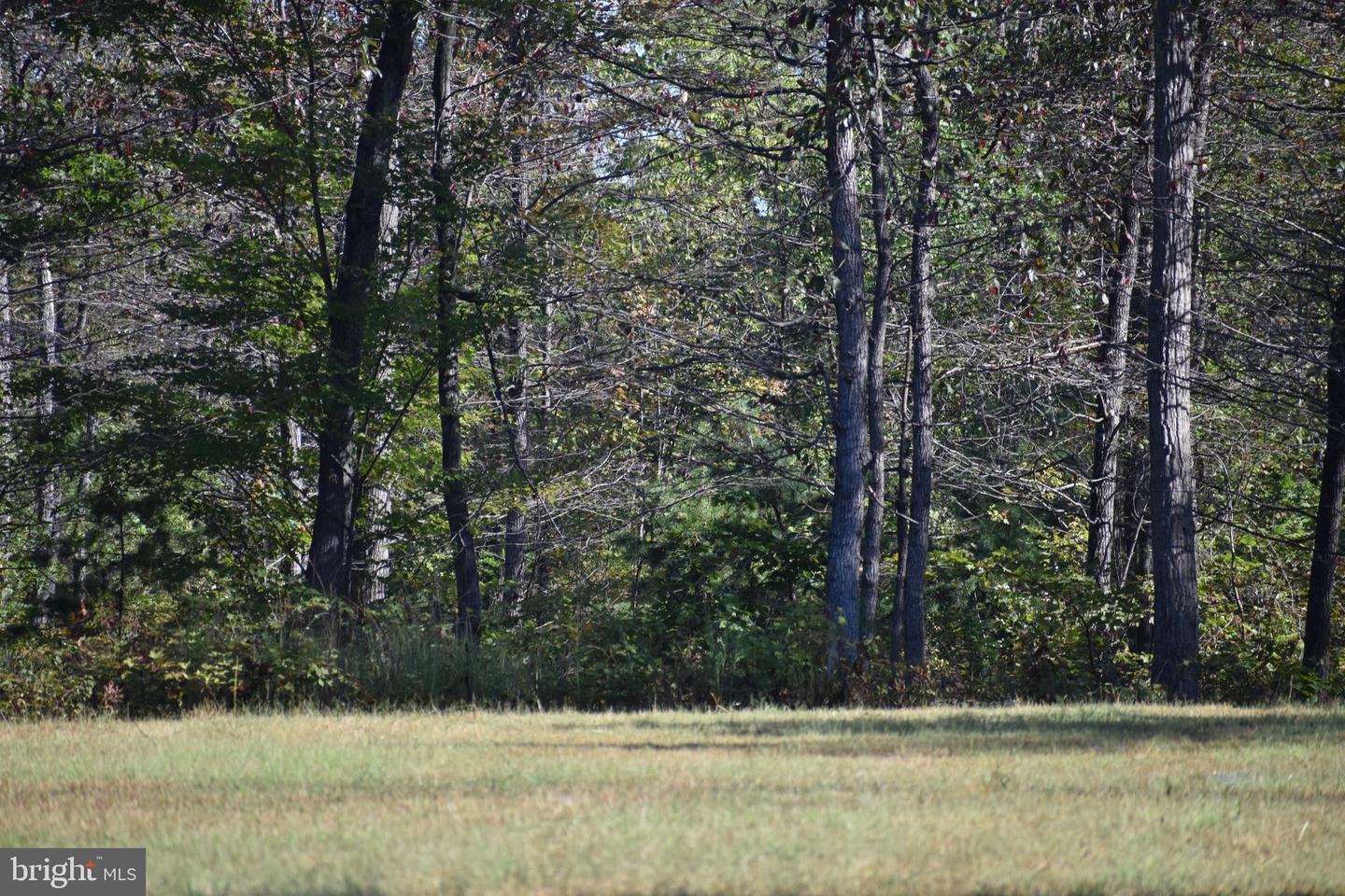 LOT 1 (128.556 ACRES) LAUREL GROVE RD, WINCHESTER, Virginia 22602, ,Farm,For sale,LOT 1 (128.556 ACRES) LAUREL GROVE RD,VAFV2037162 MLS # VAFV2037162