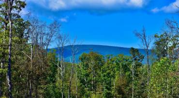LOT 1 (128.556 ACRES) LAUREL GROVE RD, WINCHESTER, Virginia 22602, ,Farm,For sale,LOT 1 (128.556 ACRES) LAUREL GROVE RD,VAFV2037162 MLS # VAFV2037162