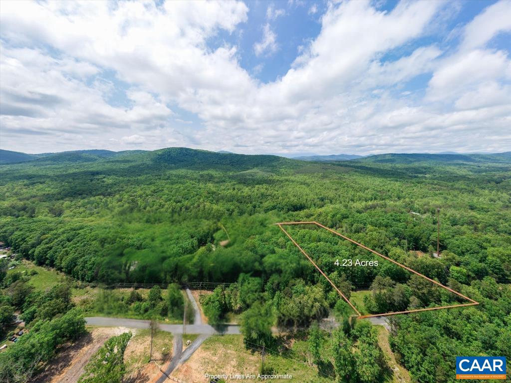 1309 SALEM RD #1, SCHUYLER, Virginia 22969, ,Land,For sale,1309 SALEM RD #1,669597 MLS # 669597