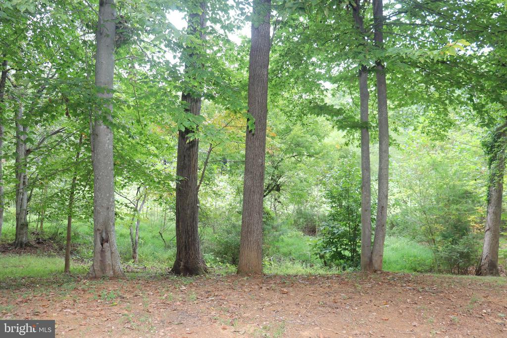 1111 EASTOVER PKWY, LOCUST GROVE, Virginia 22508, 5 Bedrooms Bedrooms, ,3 BathroomsBathrooms,Residential,1111 EASTOVER PKWY,VAOR2012418 MLS # VAOR2012418