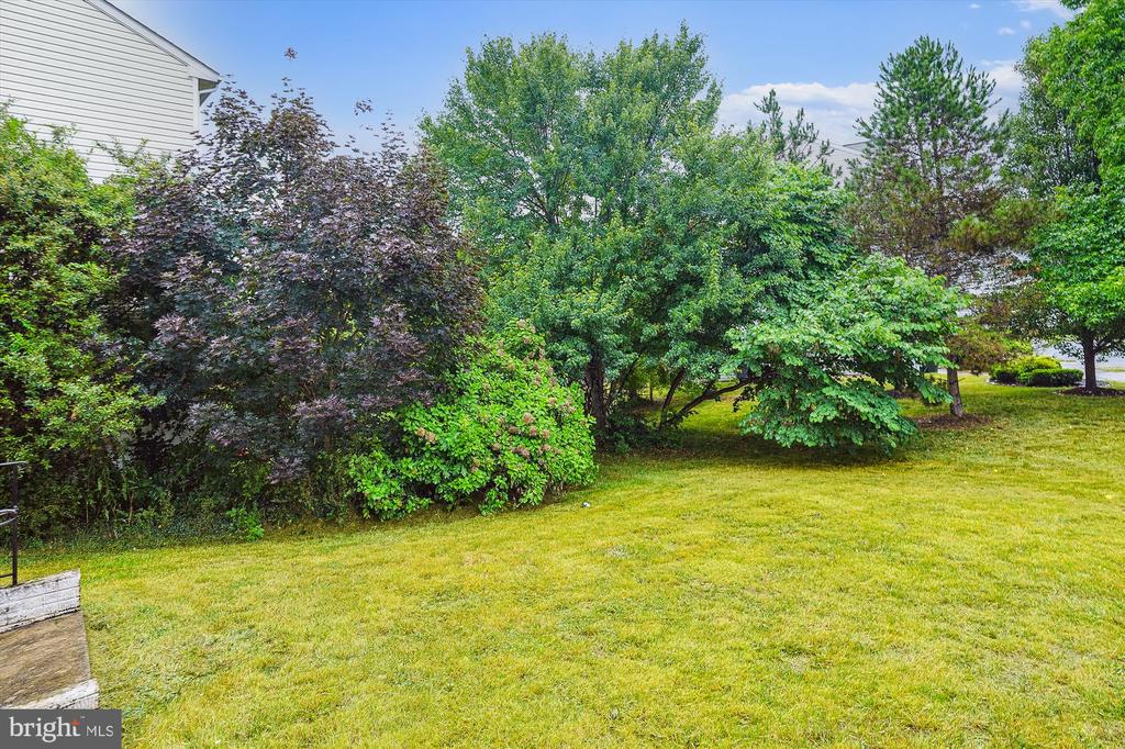 2024 CHESTNUT DR, CULPEPER, Virginia 22701, 4 Bedrooms Bedrooms, ,3 BathroomsBathrooms,Residential,2024 CHESTNUT DR,VACU2011726 MLS # VACU2011726
