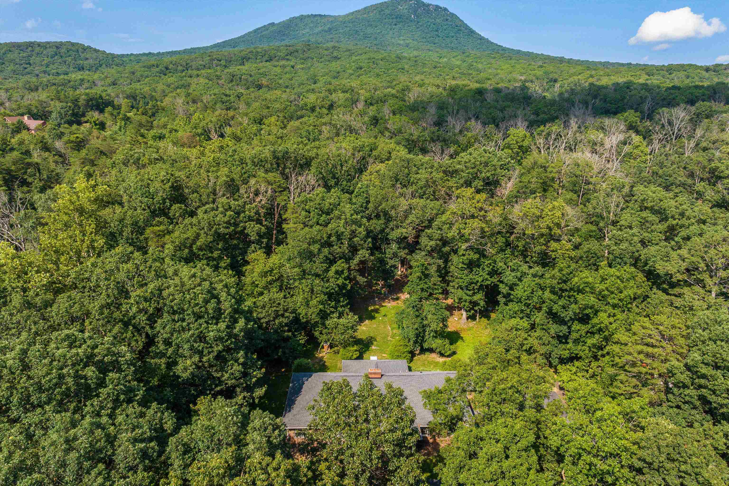 5983 LABS RUN LN, PENN LAIRD, Virginia 22846, 4 Bedrooms Bedrooms, ,3 BathroomsBathrooms,Residential,5983 LABS RUN LN,662500 MLS # 662500
