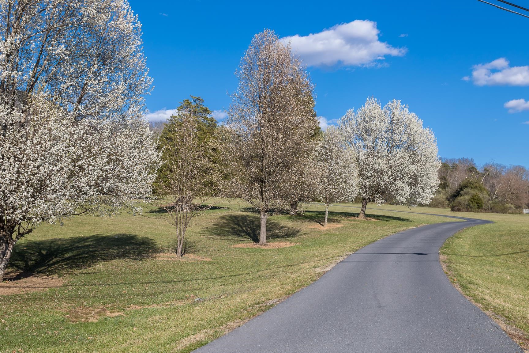 5983 LABS RUN LN, PENN LAIRD, Virginia 22846, 4 Bedrooms Bedrooms, ,3 BathroomsBathrooms,Residential,5983 LABS RUN LN,662500 MLS # 662500