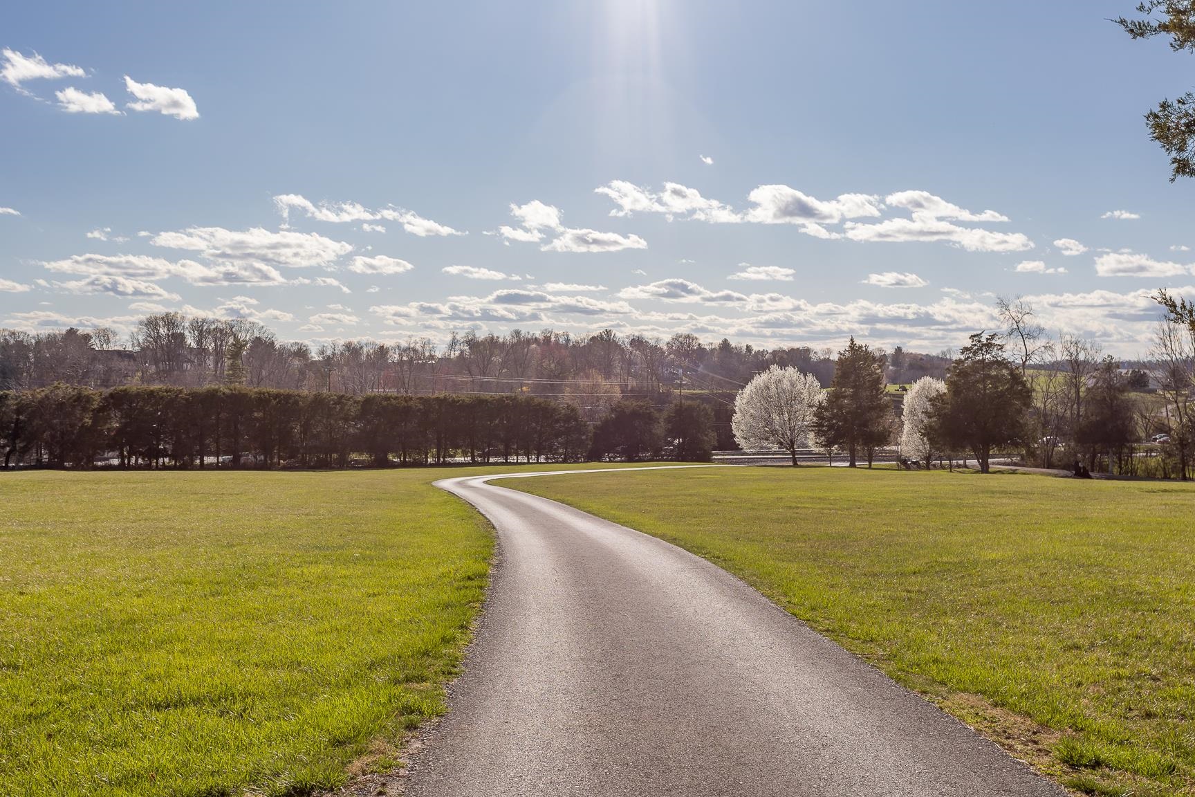 5983 LABS RUN LN, PENN LAIRD, Virginia 22846, 4 Bedrooms Bedrooms, ,3 BathroomsBathrooms,Residential,5983 LABS RUN LN,662500 MLS # 662500 5983 LABS RUN LN, PENN LAIRD, Virginia 22846, 4 Bedrooms Bedrooms, ,3 BathroomsBathrooms,Residential,5983 LABS RUN LN,662500 MLS # 662500