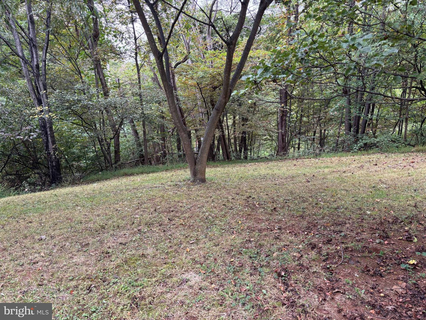 503 POMEROY, FRONT ROYAL, Virginia 22630, 3 Bedrooms Bedrooms, ,2 BathroomsBathrooms,Residential,For sale,503 POMEROY,VAWR2011952 MLS # VAWR2011952