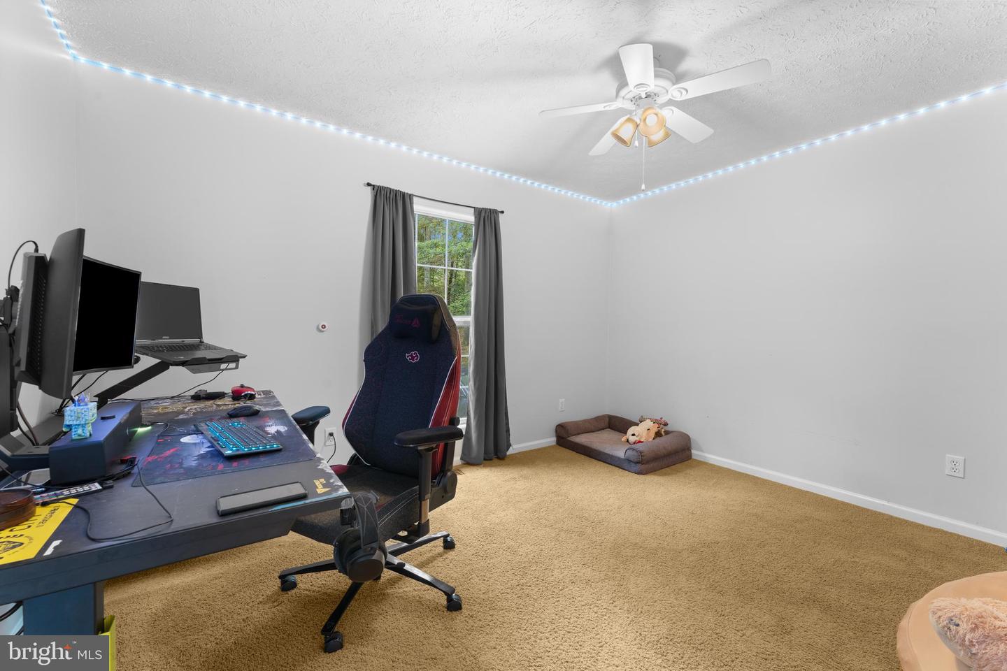 628 RIVER RD, MADISON, Virginia 22727, 3 Bedrooms Bedrooms, ,2 BathroomsBathrooms,Residential,For sale,628 RIVER RD,VAMA2002438 MLS # VAMA2002438
