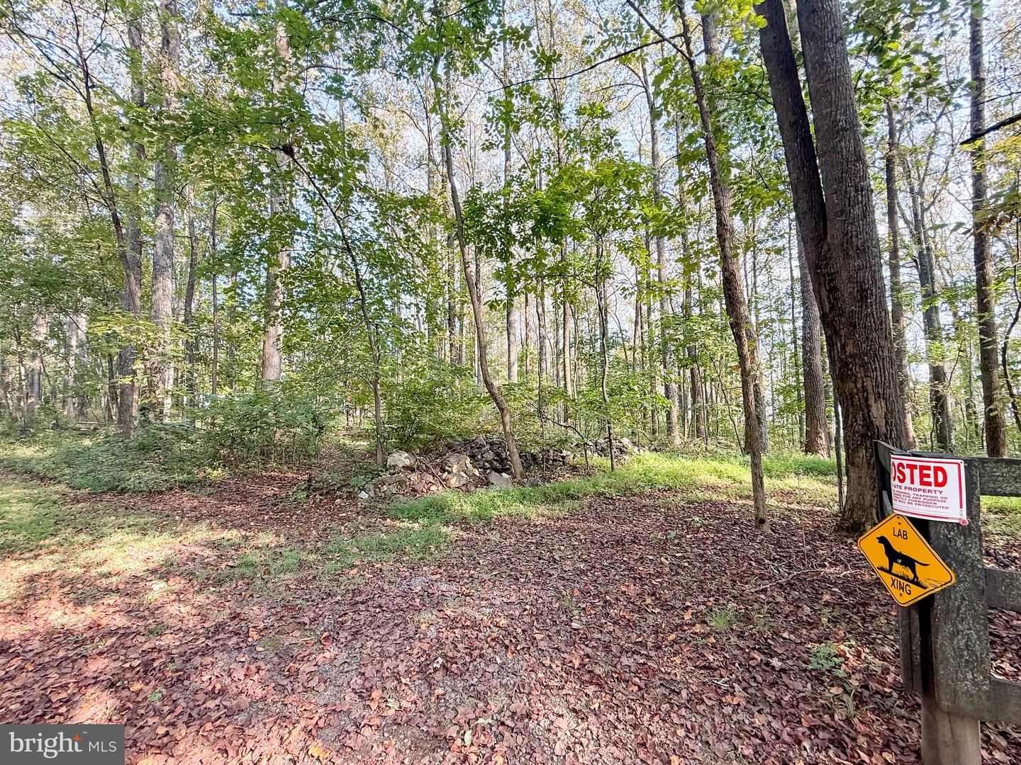 5885 PIGNUT MOUNTAIN DR, WARRENTON, Virginia 20187, 4 Bedrooms Bedrooms, ,3 BathroomsBathrooms,Residential,For sale,5885 PIGNUT MOUNTAIN DR,VAFQ2018400 MLS # VAFQ2018400