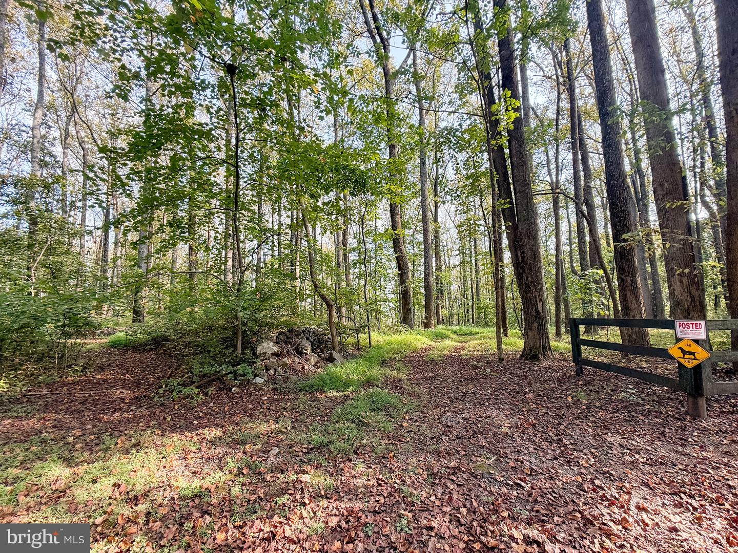 5885 PIGNUT MOUNTAIN DR, WARRENTON, Virginia 20187, 4 Bedrooms Bedrooms, ,3 BathroomsBathrooms,Residential,For sale,5885 PIGNUT MOUNTAIN DR,VAFQ2018400 MLS # VAFQ2018400