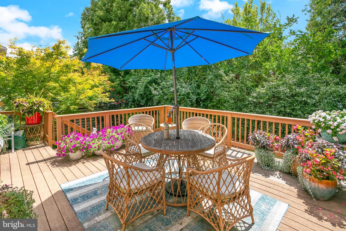 1230 23RD ST S, ARLINGTON, Virginia 22202, 4 Bedrooms Bedrooms, ,3 BathroomsBathrooms,Residential,For sale,1230 23RD ST S,VAAR2064104 MLS # VAAR2064104