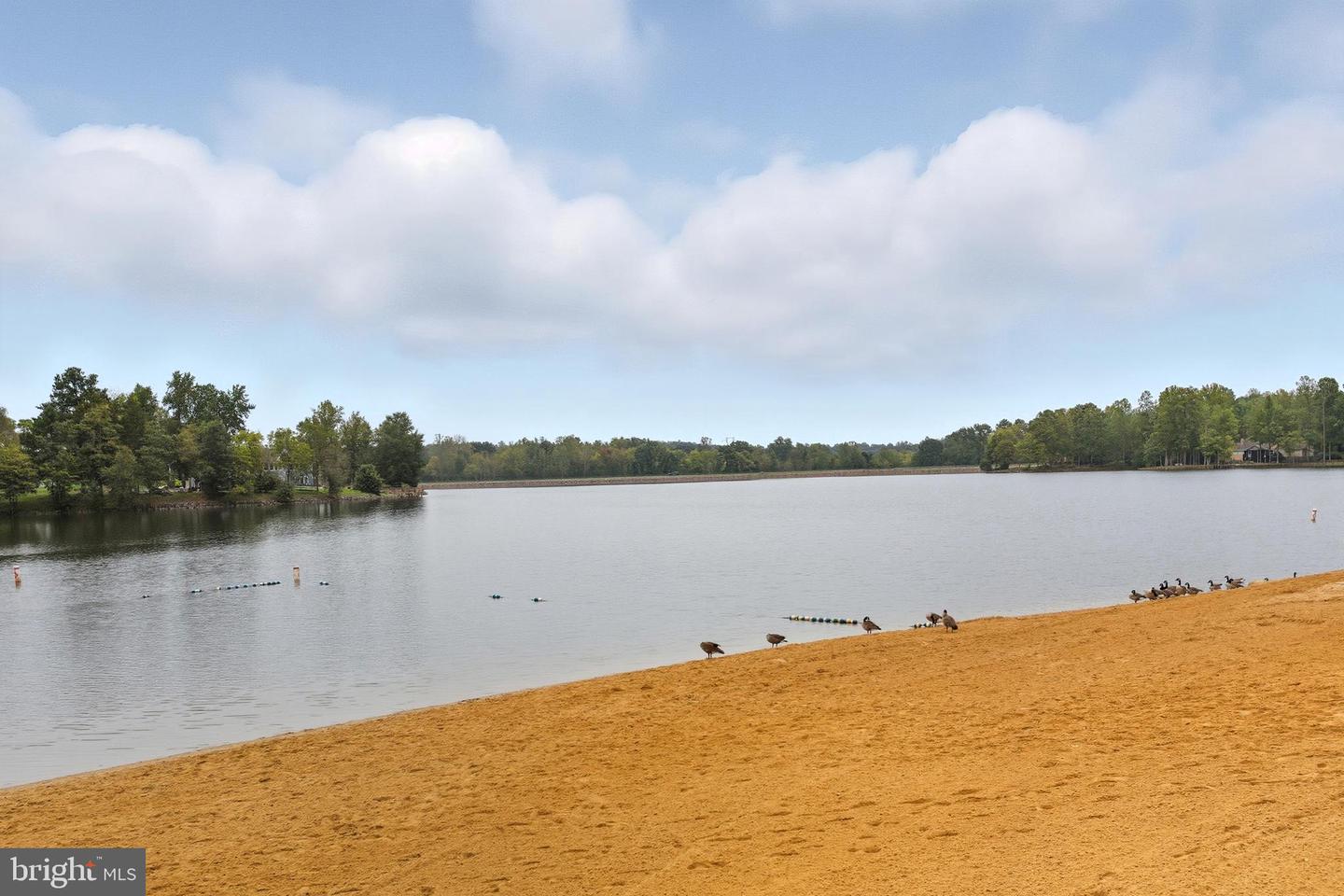 612 WRIGHT DR, RUTHER GLEN, Virginia 22546, 4 Bedrooms Bedrooms, ,3 BathroomsBathrooms,Residential,For sale,612 WRIGHT DR,VACV2008886 MLS # VACV2008886 612 WRIGHT DR, RUTHER GLEN, Virginia 22546, 4 Bedrooms Bedrooms, ,3 BathroomsBathrooms,Residential,For sale,612 WRIGHT DR,VACV2008886 MLS # VACV2008886